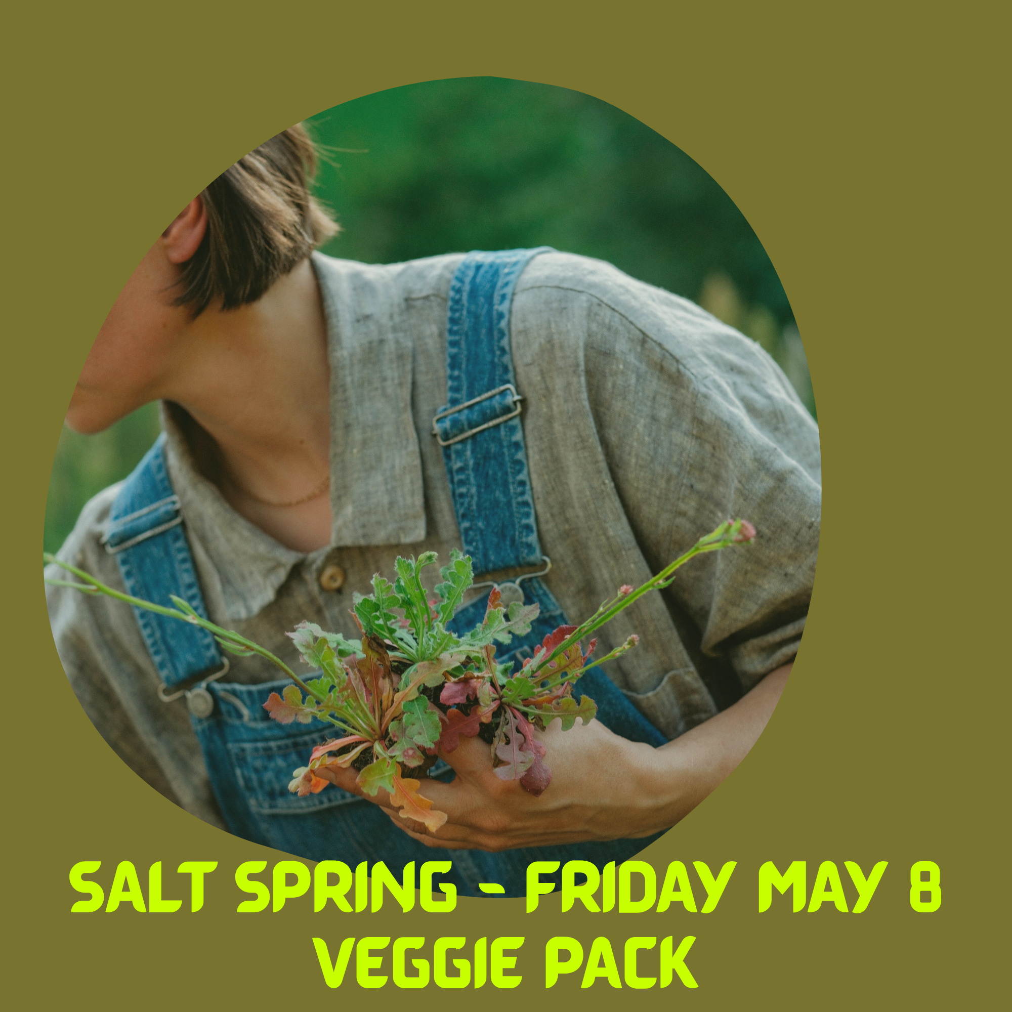 SALT SPRING MAY 8 - VEGGIE PACK.png