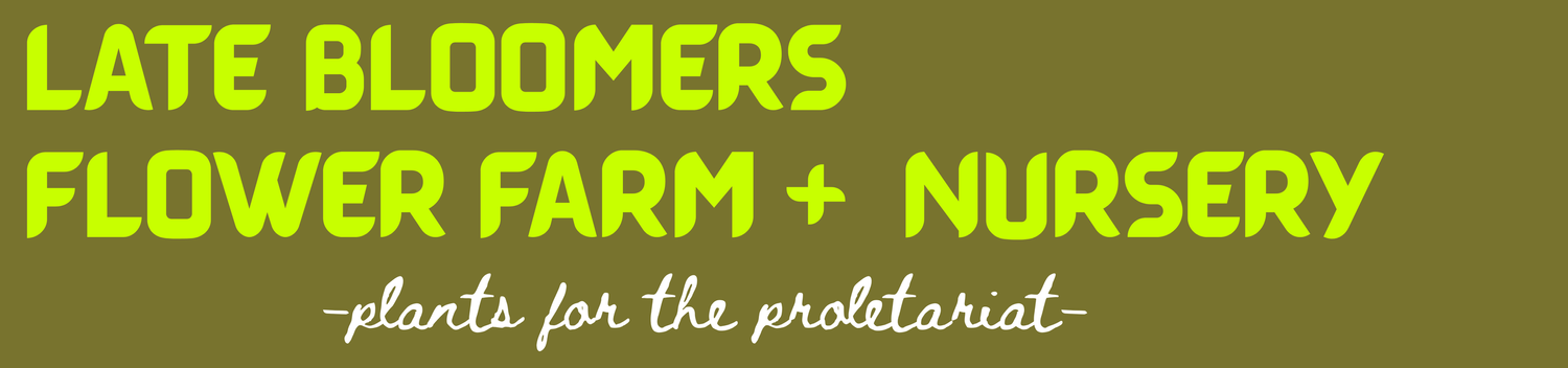 Late Bloomers Flower Farm + Nursery