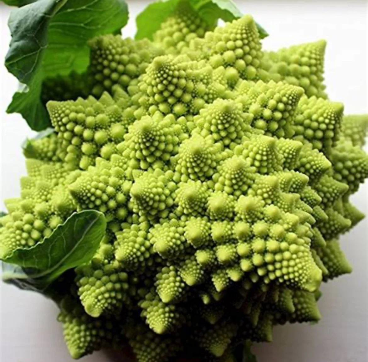 Broccoli - Romanesco (2)