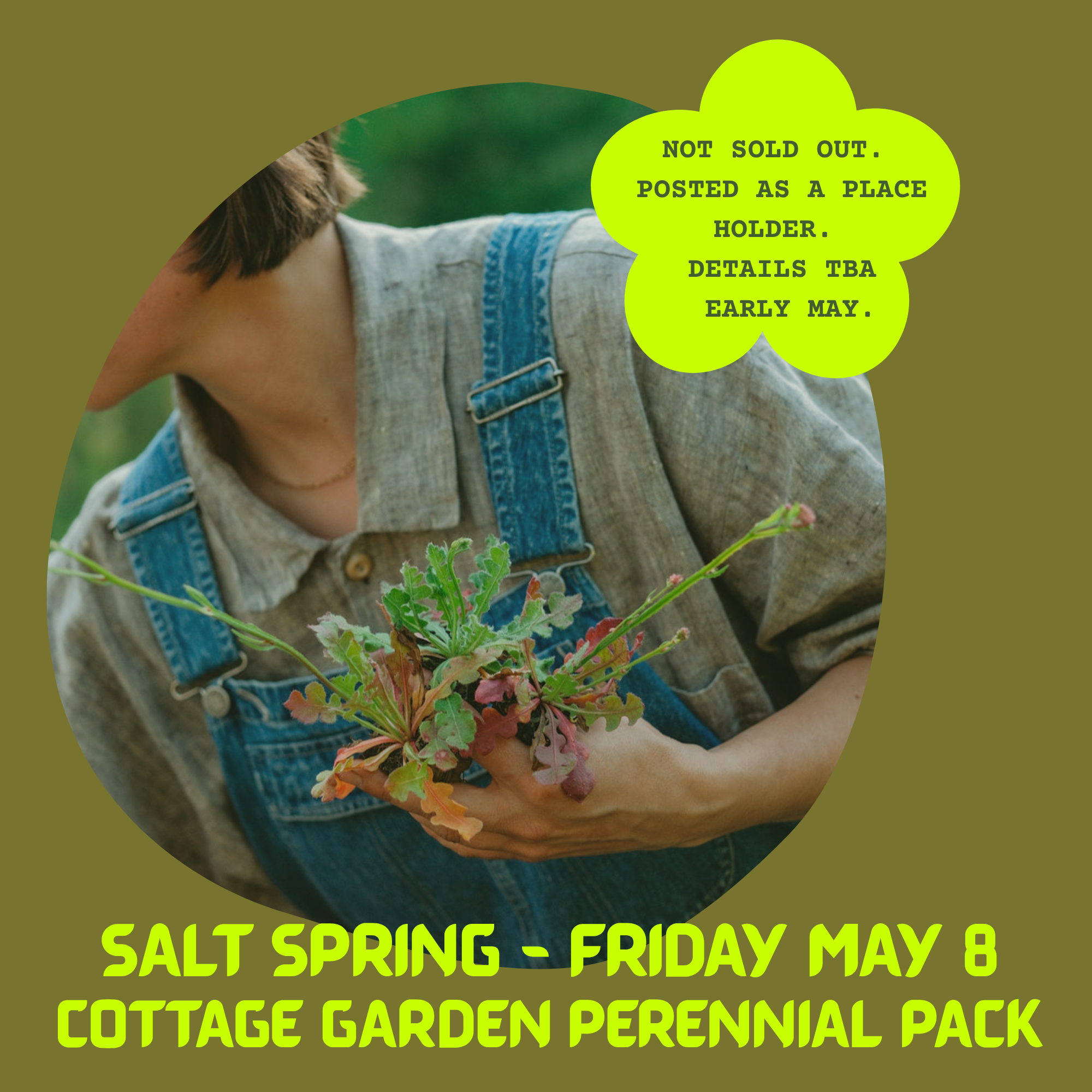 SALT SPRING MAY 8- PERENNIAL PACK (1).png