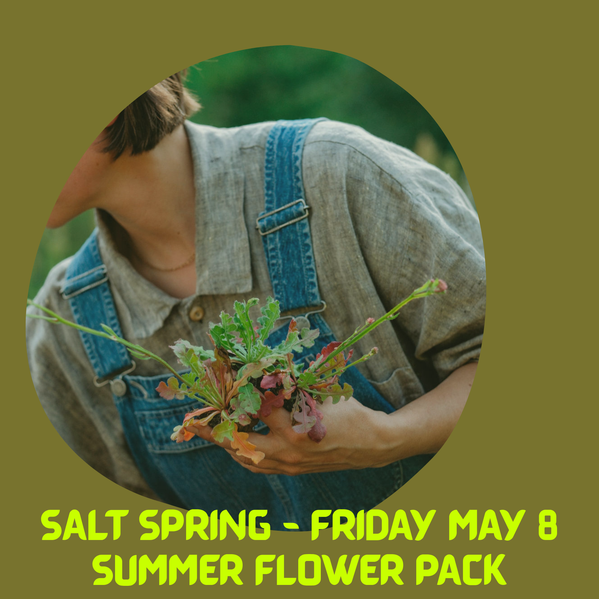 SALT SPRING SUMMER FLOWER PACK - MAY 8TH