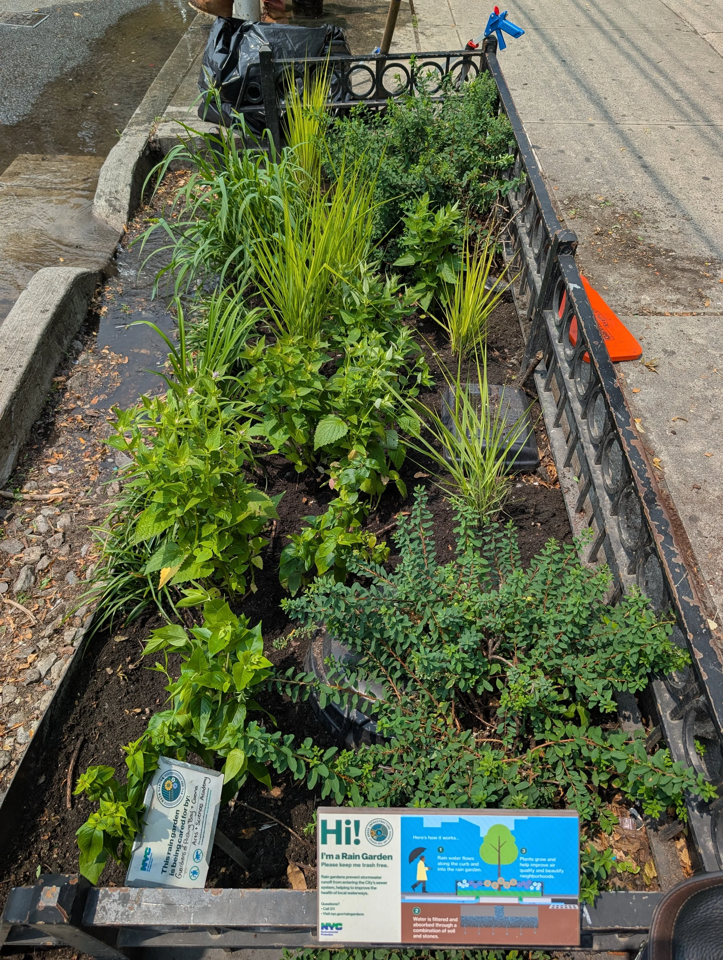Flushing Rain Garden Care