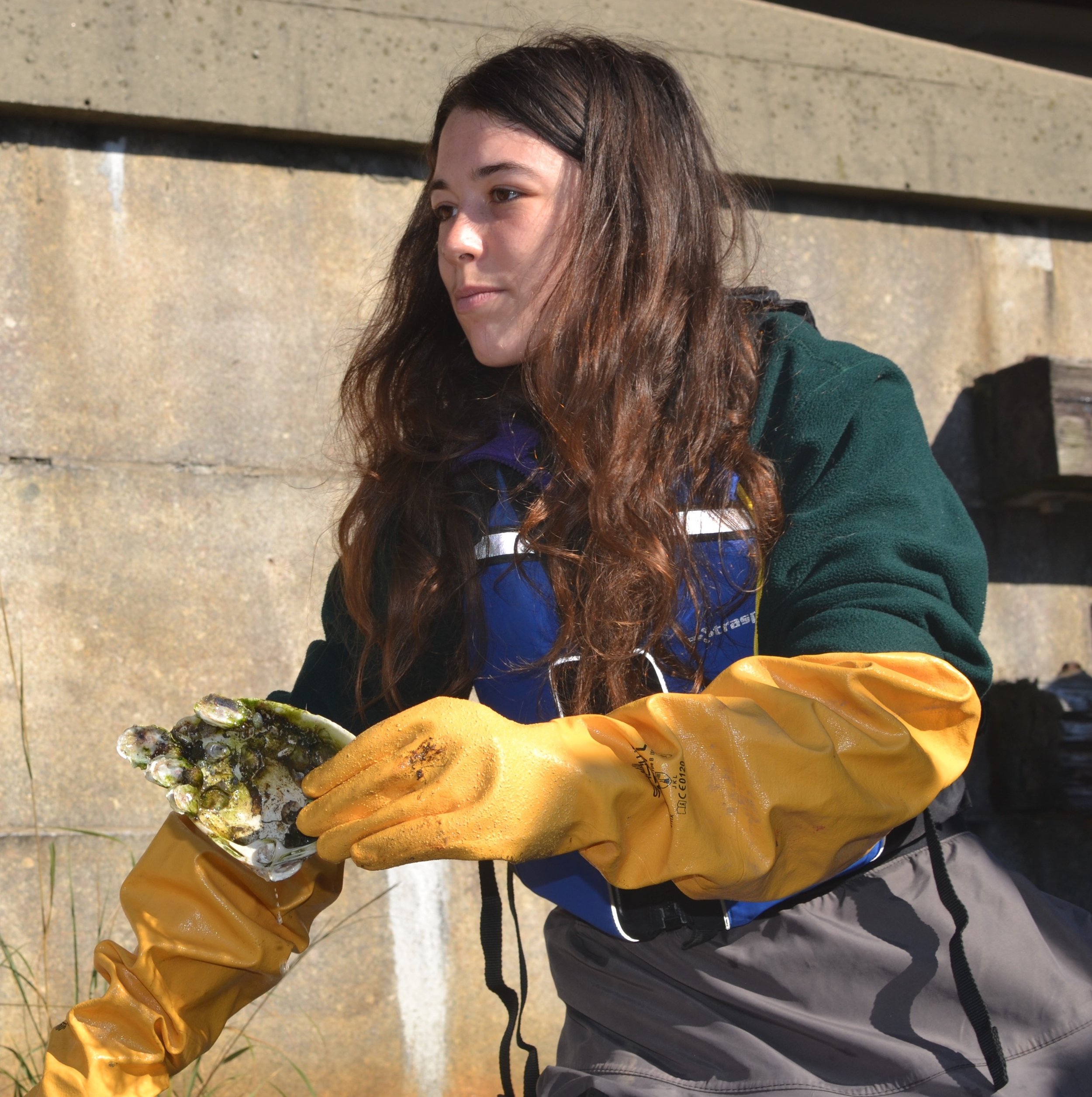 General 4 — Guardians of Flushing Bay