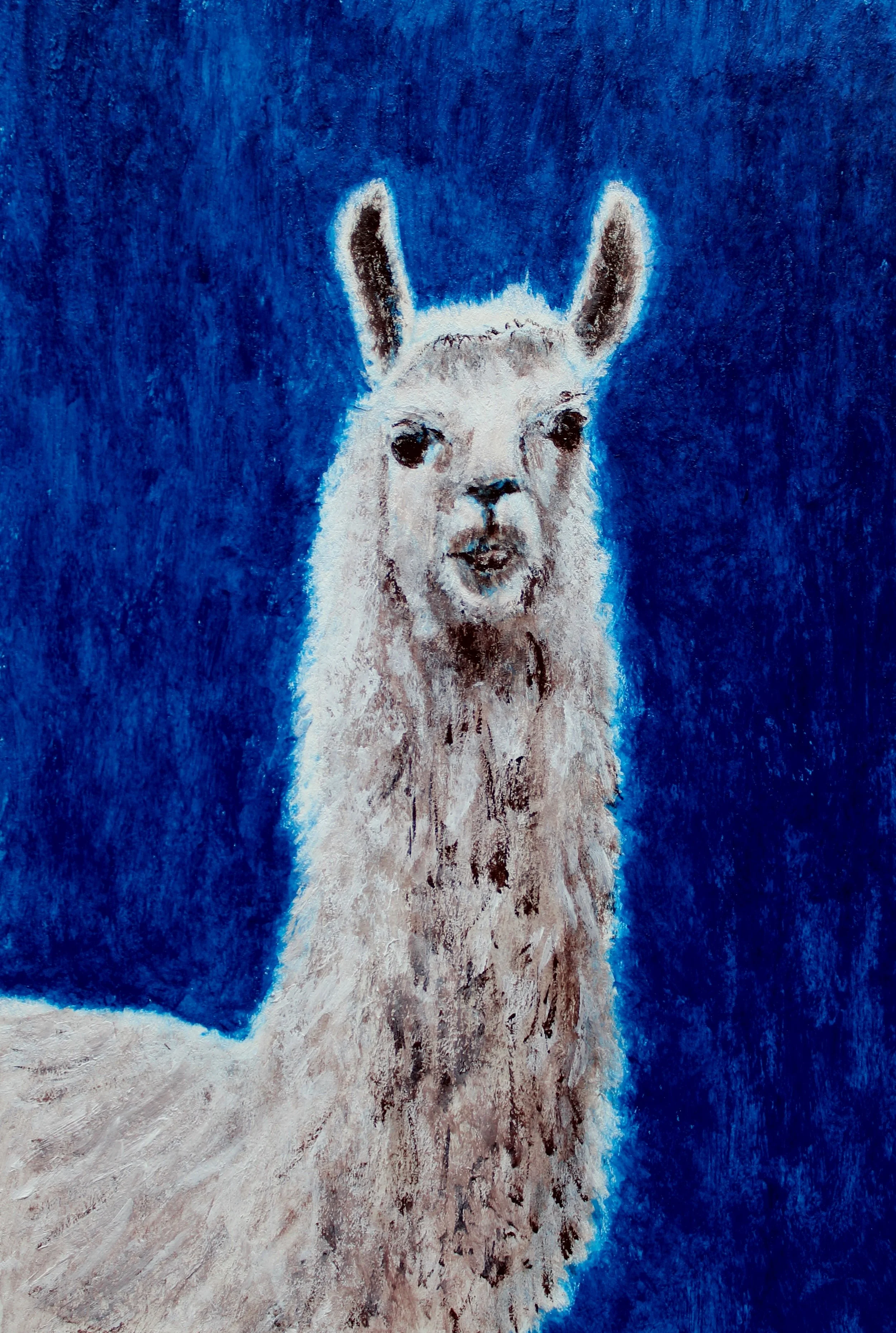 Llama