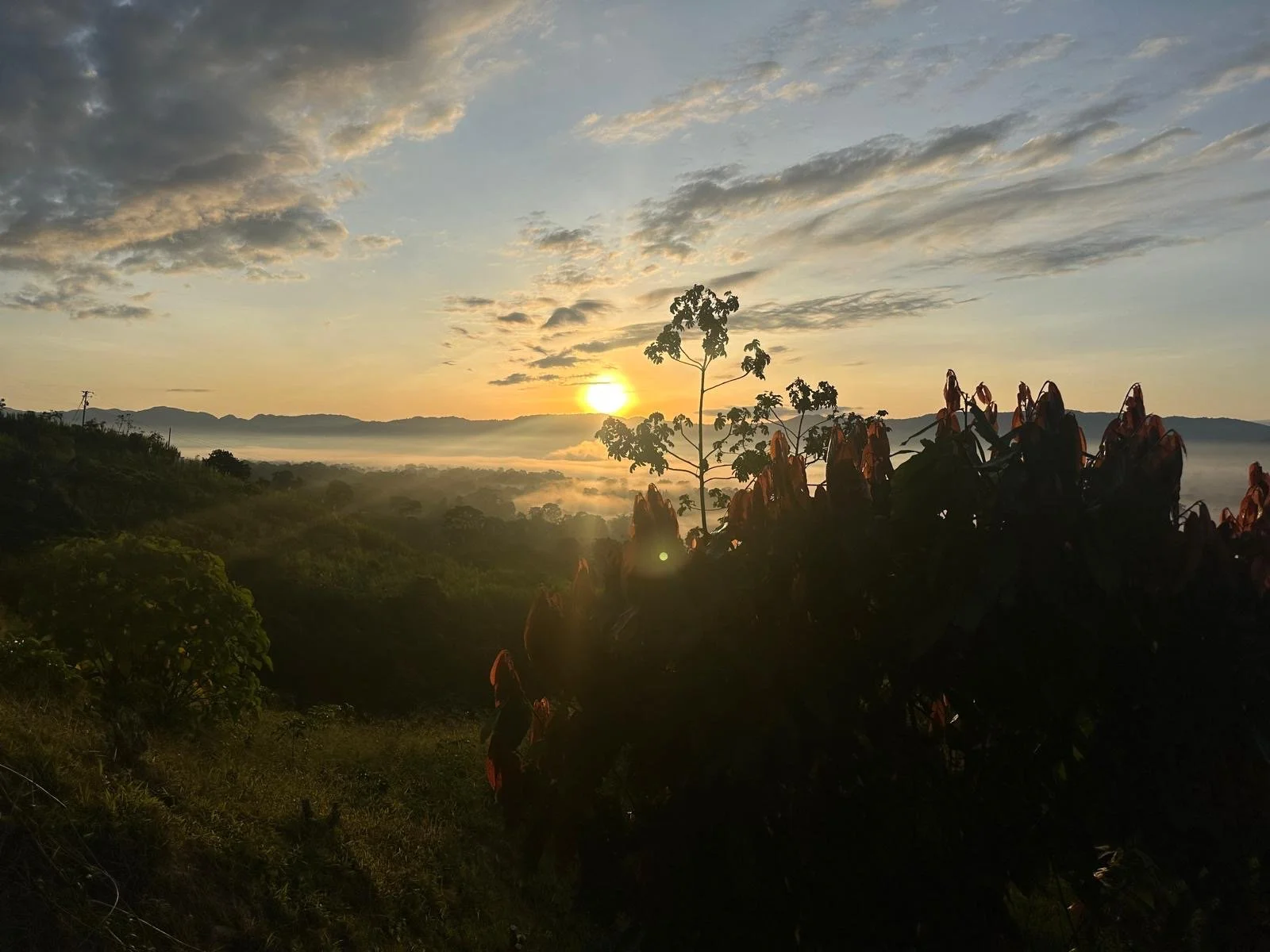 Surrender Into The Peak of Darkness