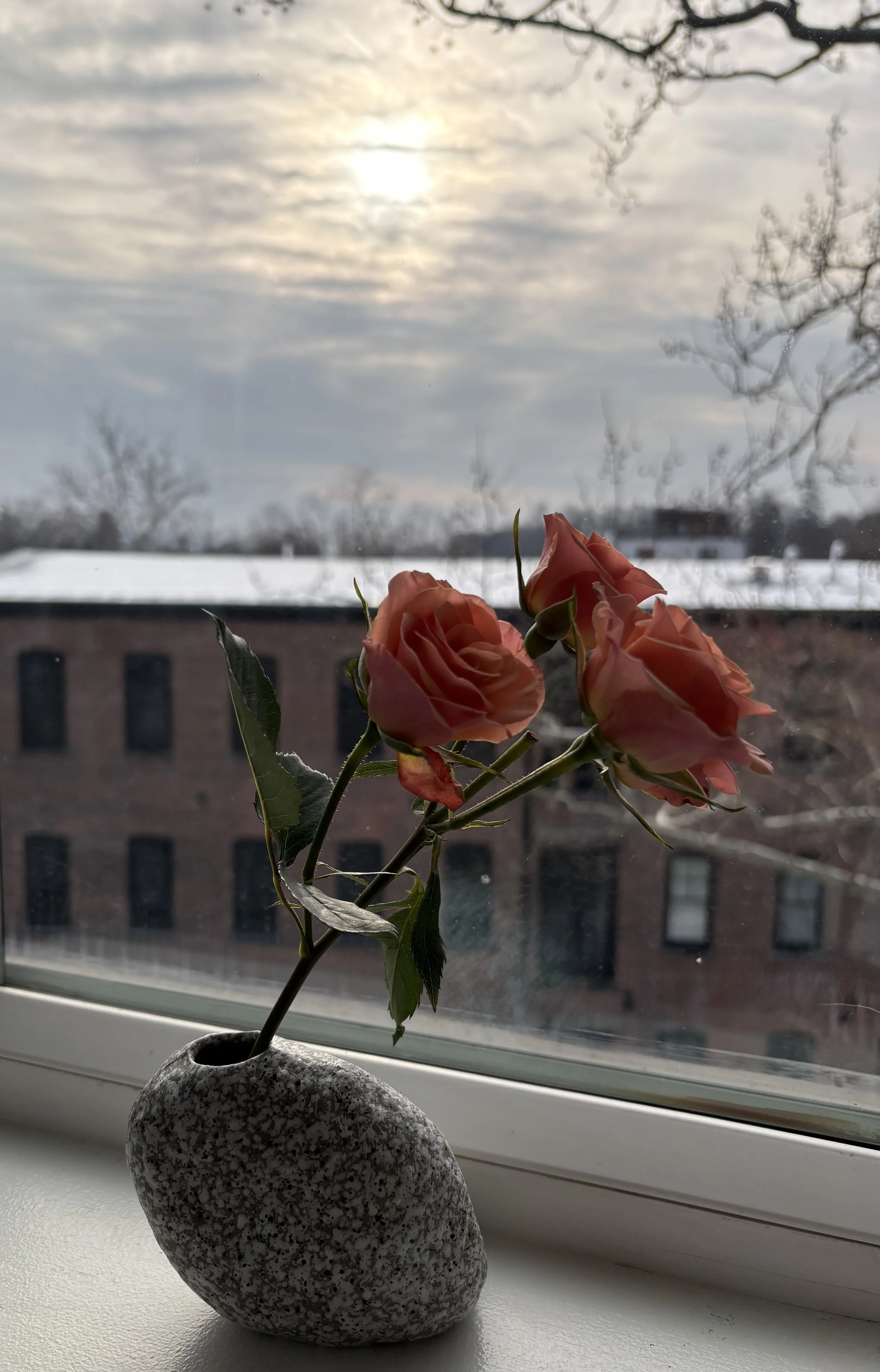 Awareness, Love, and Gratitude