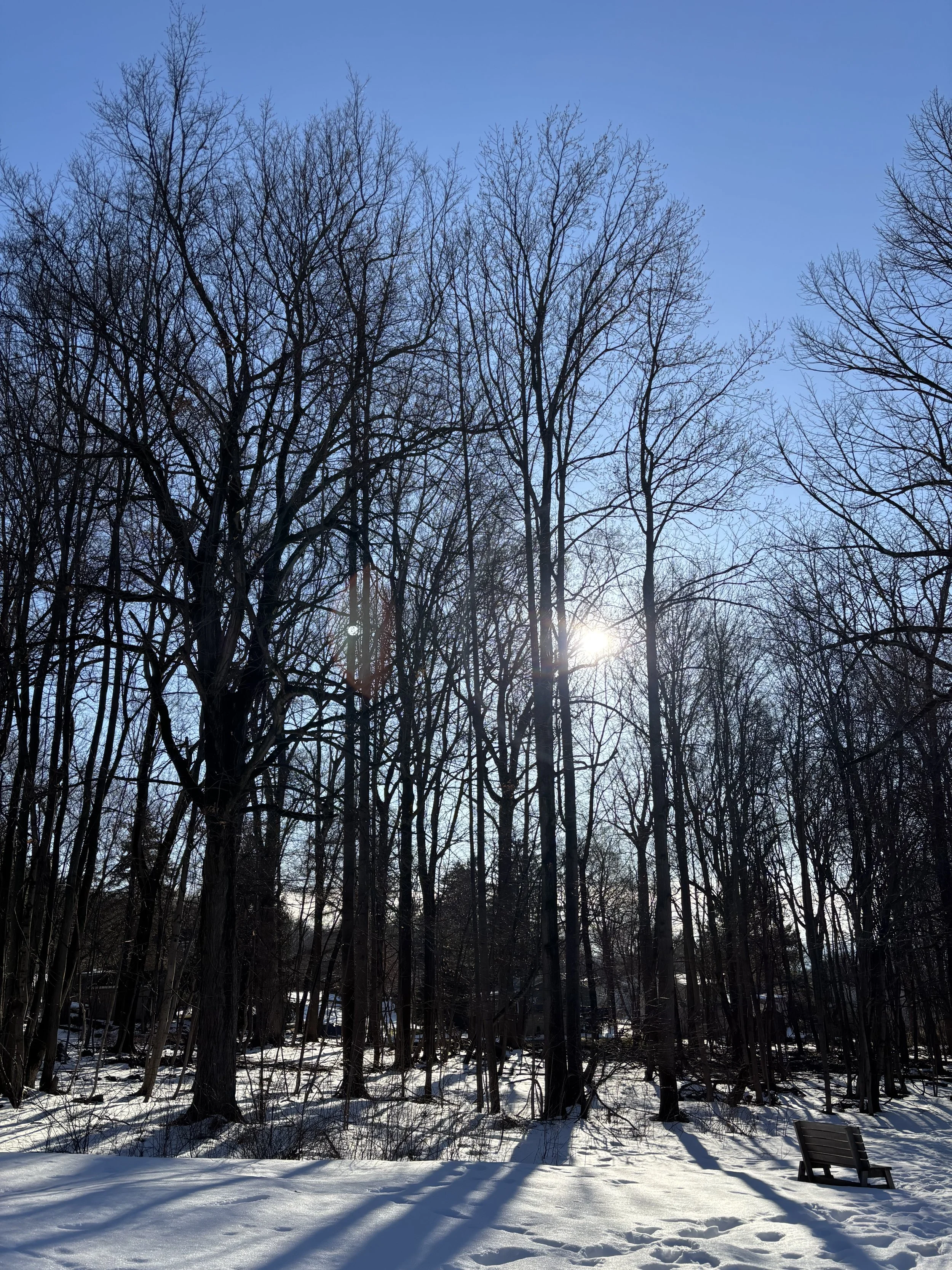 The Two Forces Behind Your Health and Well-Being