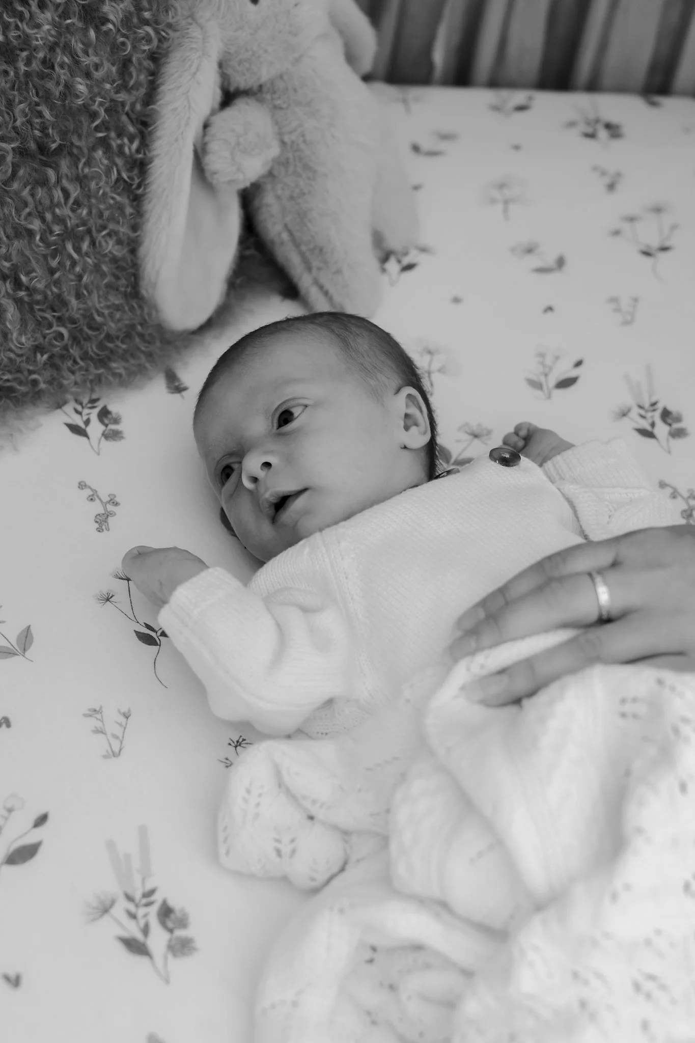 HOBART-NEWBORN-PHOTOGRAPHY 10.jpg