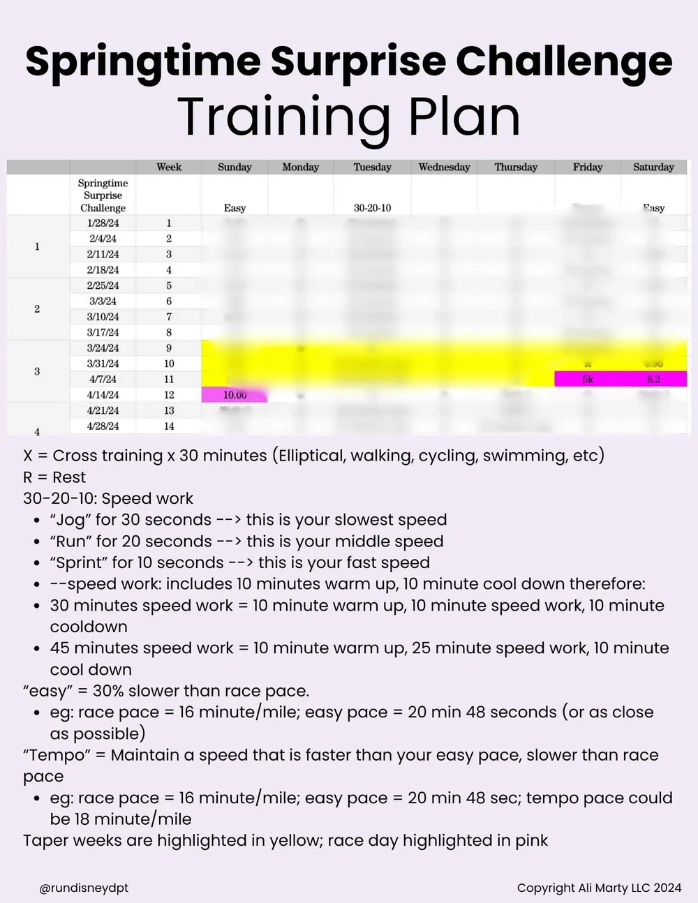 Springtime Surprise Challenge Training Plan — runDisneyDPT