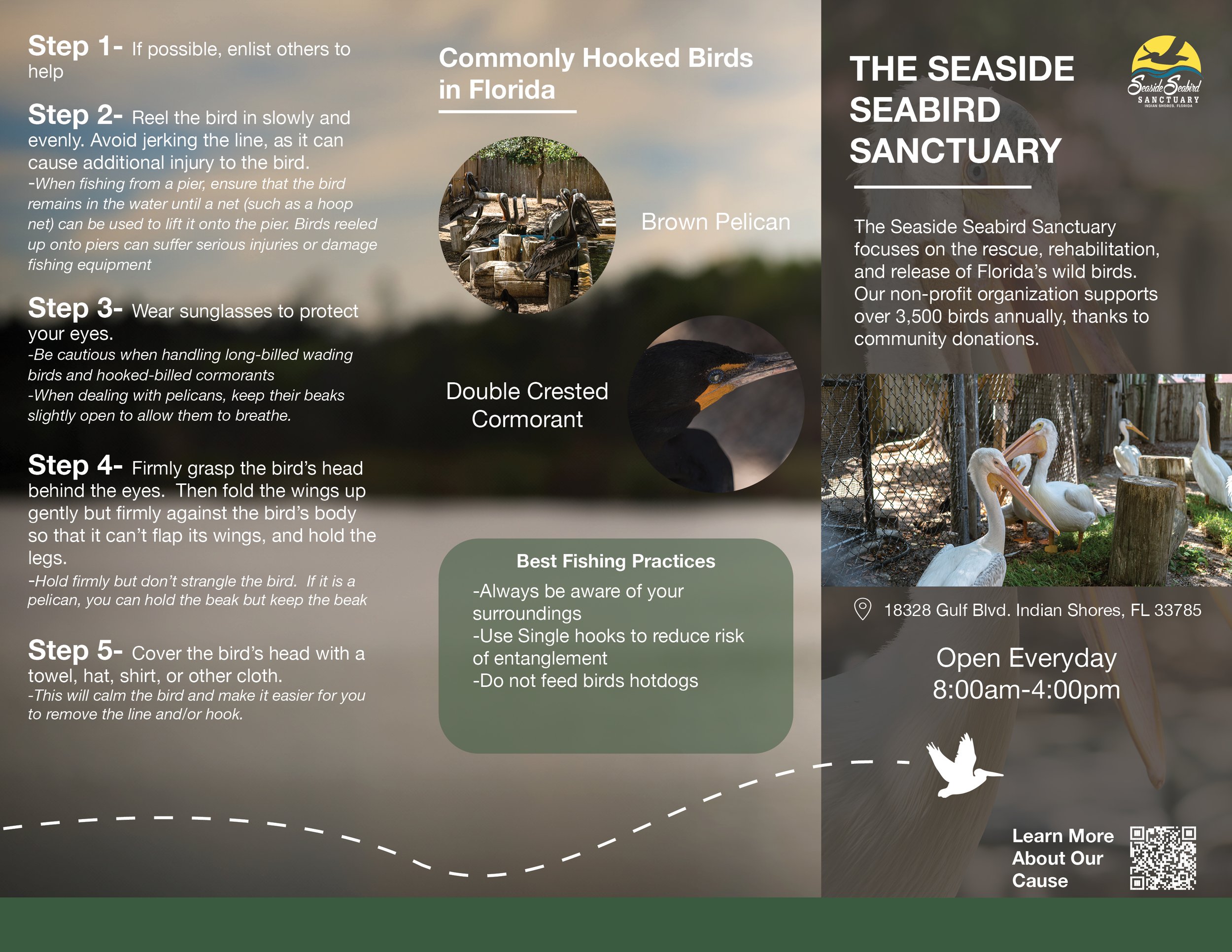 SSBS BROCHURE 2.jpg