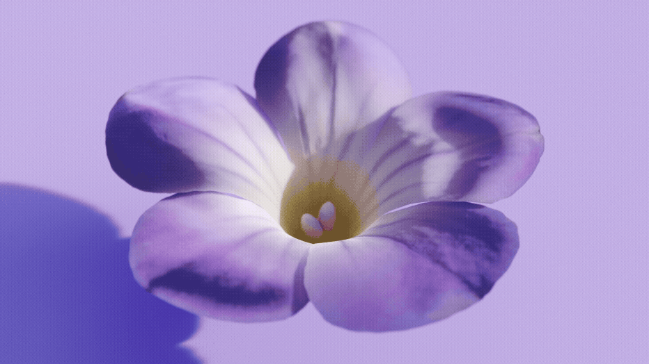 Eye Illum_Motion3.gif