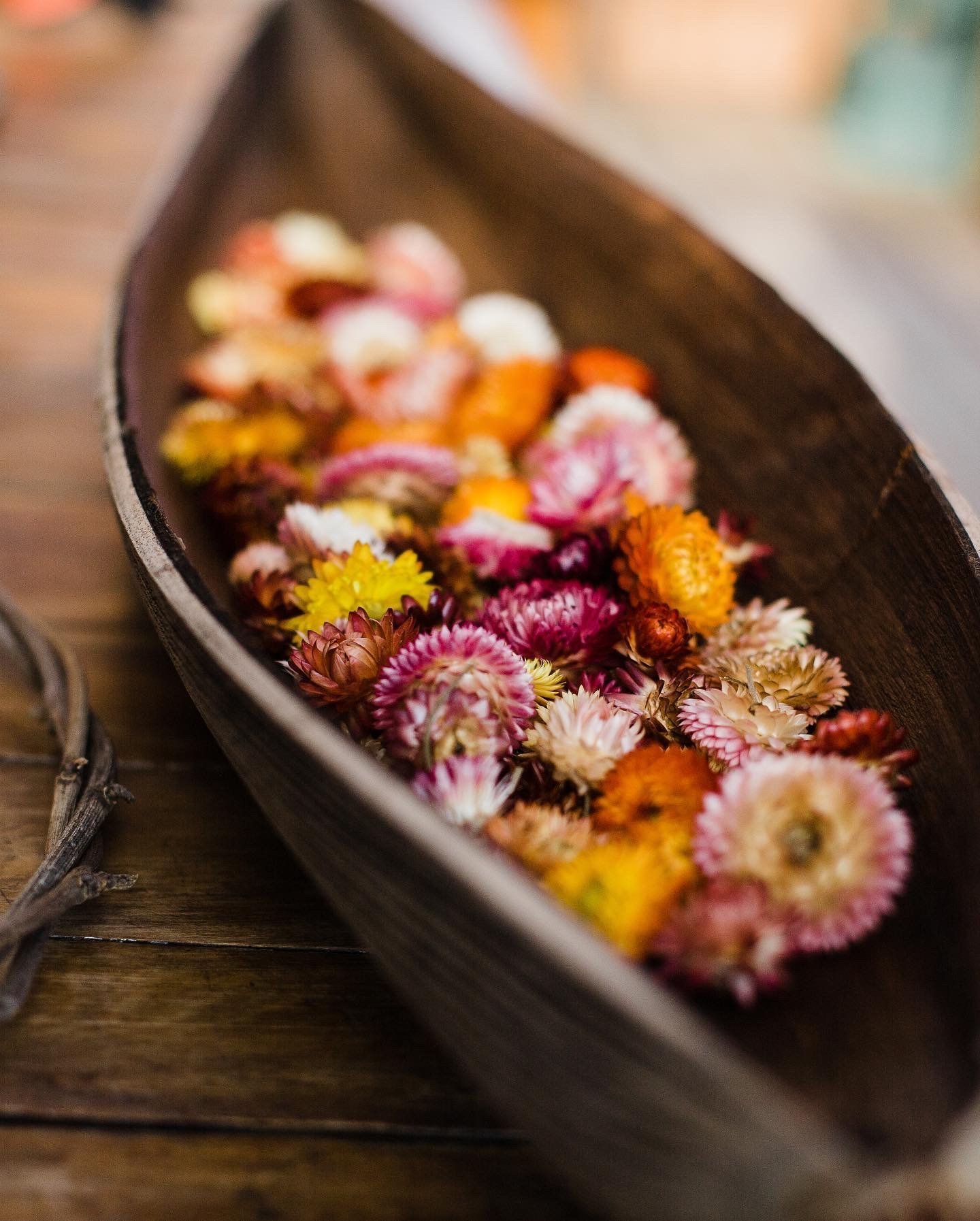 13DE2CD6-0F25-4981-A2BF-93D1BBFB07A1.jpeg (Copy)