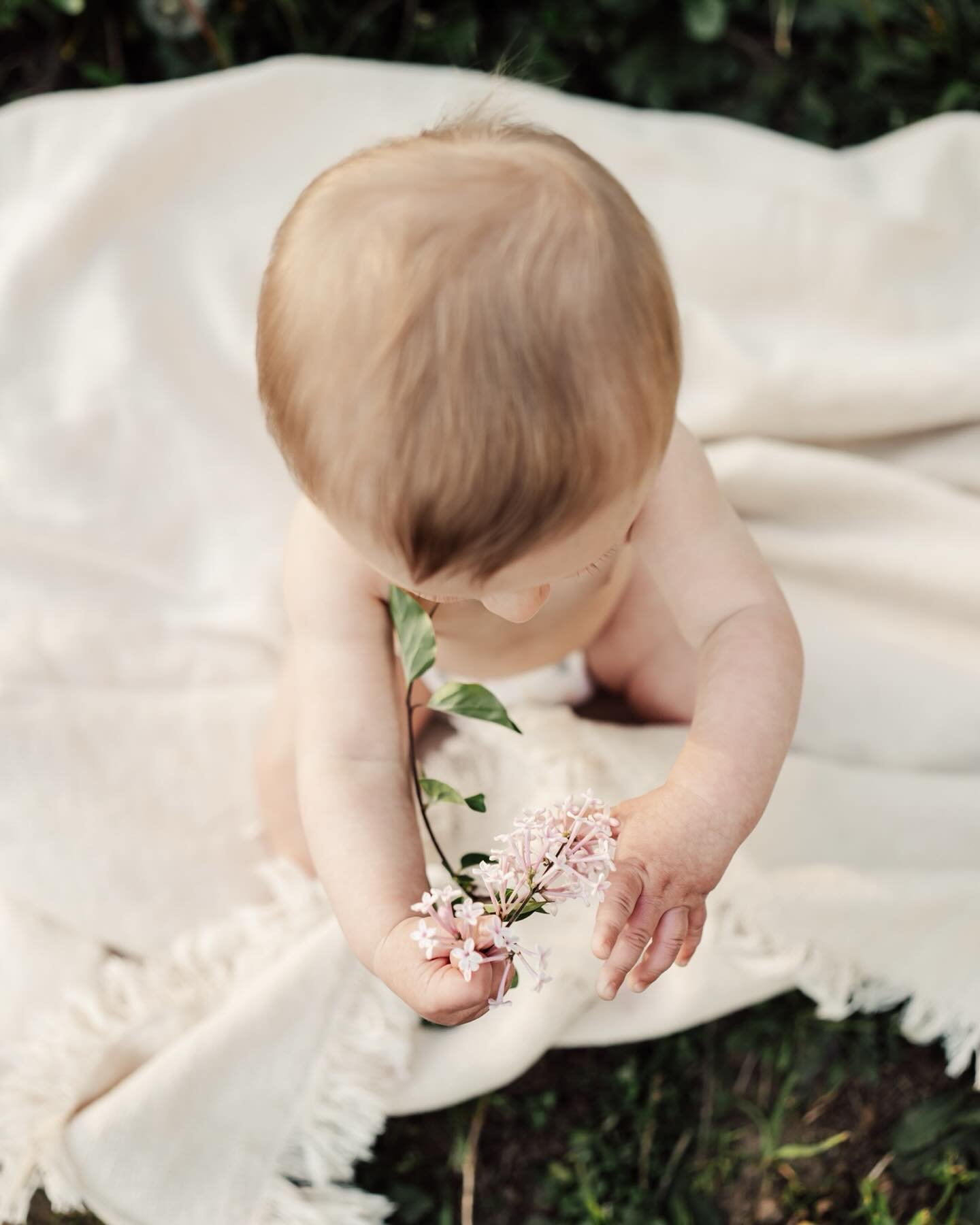 The lilacs are blooming! Please enjoy these sweet tiny baby fingers holding sweet tiny blossoms. 

We don&rsquo;t need epic backdrops or fancy outfits to document your family; all you really need is to show up. That showing up could even just be to y