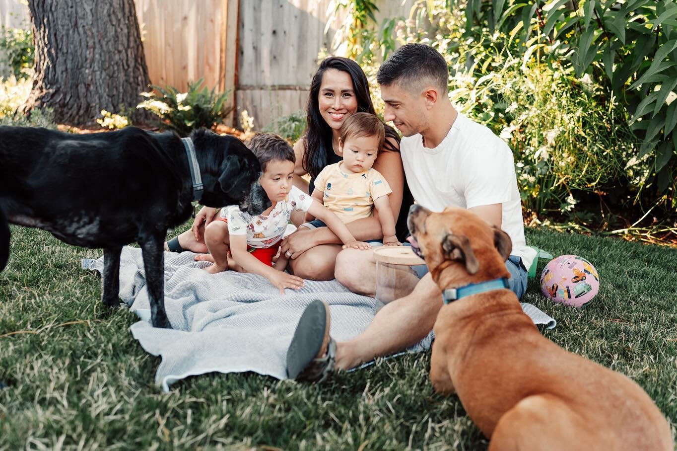 And I repeat: all you need for wonderful family photos is to show up. Go out in the yard and play with your pups. Let your kids feed them too many treats. Drink a glass of wine and pick some blueberries. Wear something nice, sure, but no need for fan