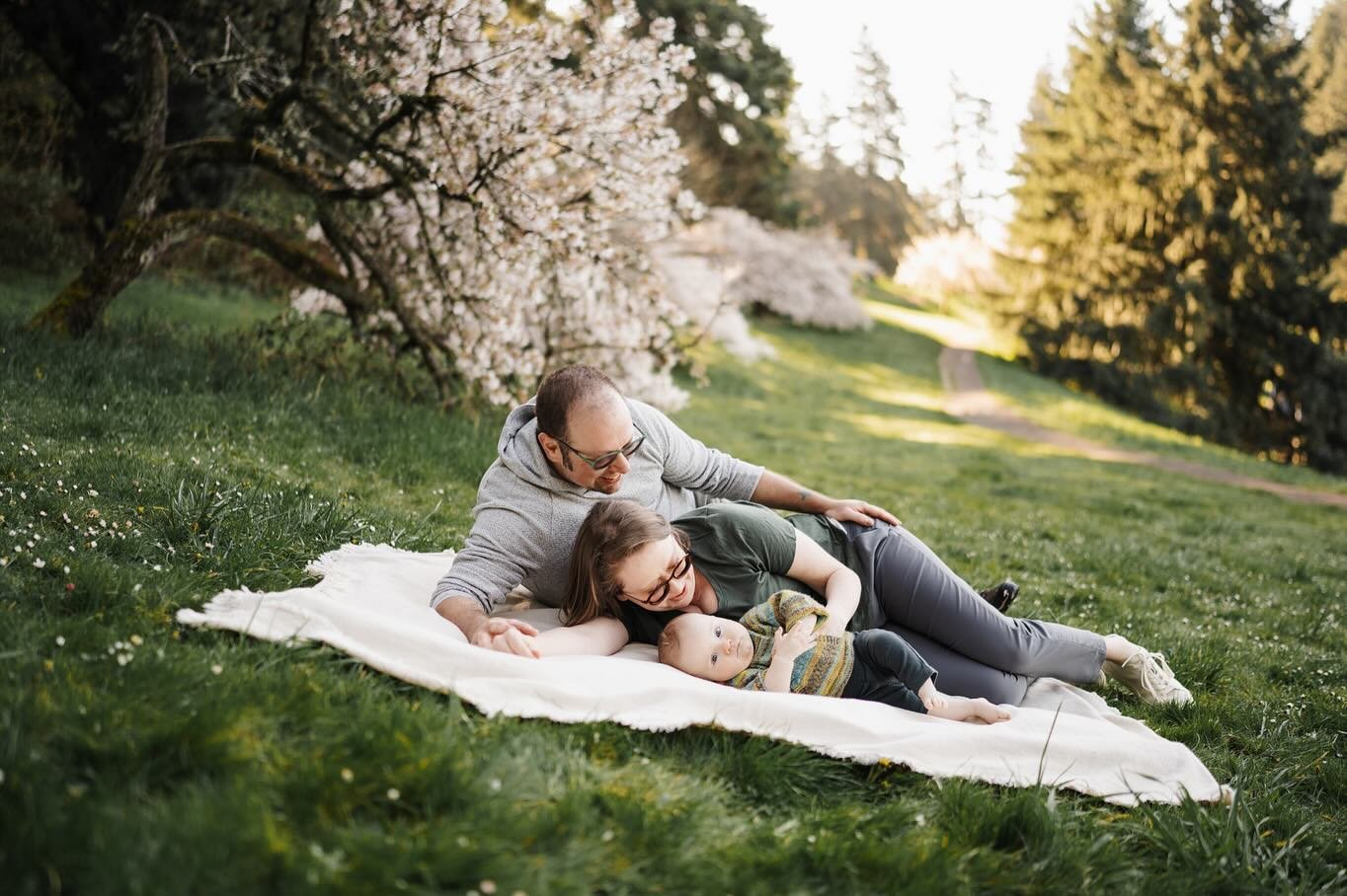 Here are some pretty photos of a cute family at Mt Tabor Park this spring with blooming trees - and the real centerpiece, a real sweet baby. 

May weekends are fully booked and June is getting there. If you want a spring/early summer family or newbor