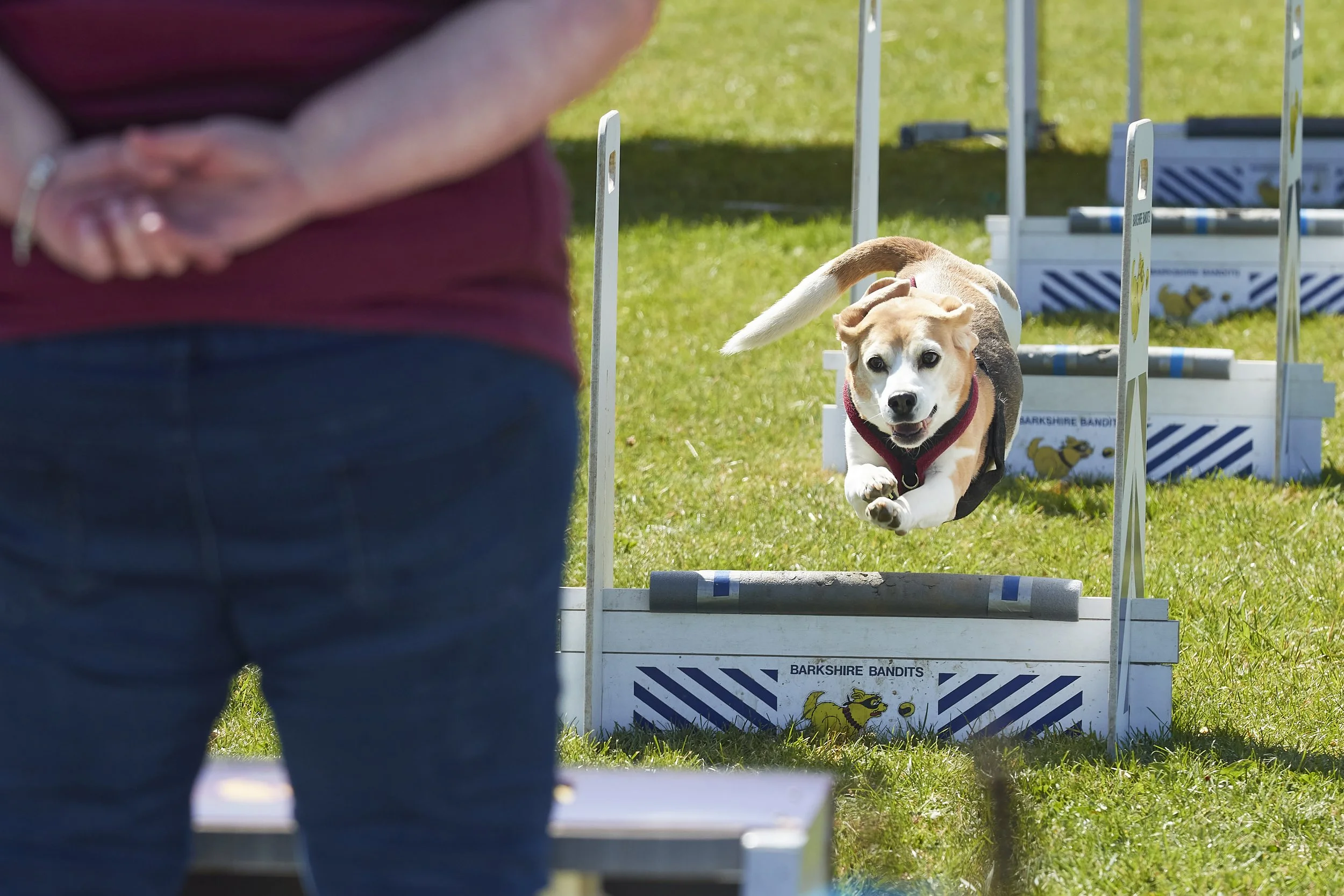 Paws in the park 14-5-2022 11.jpg