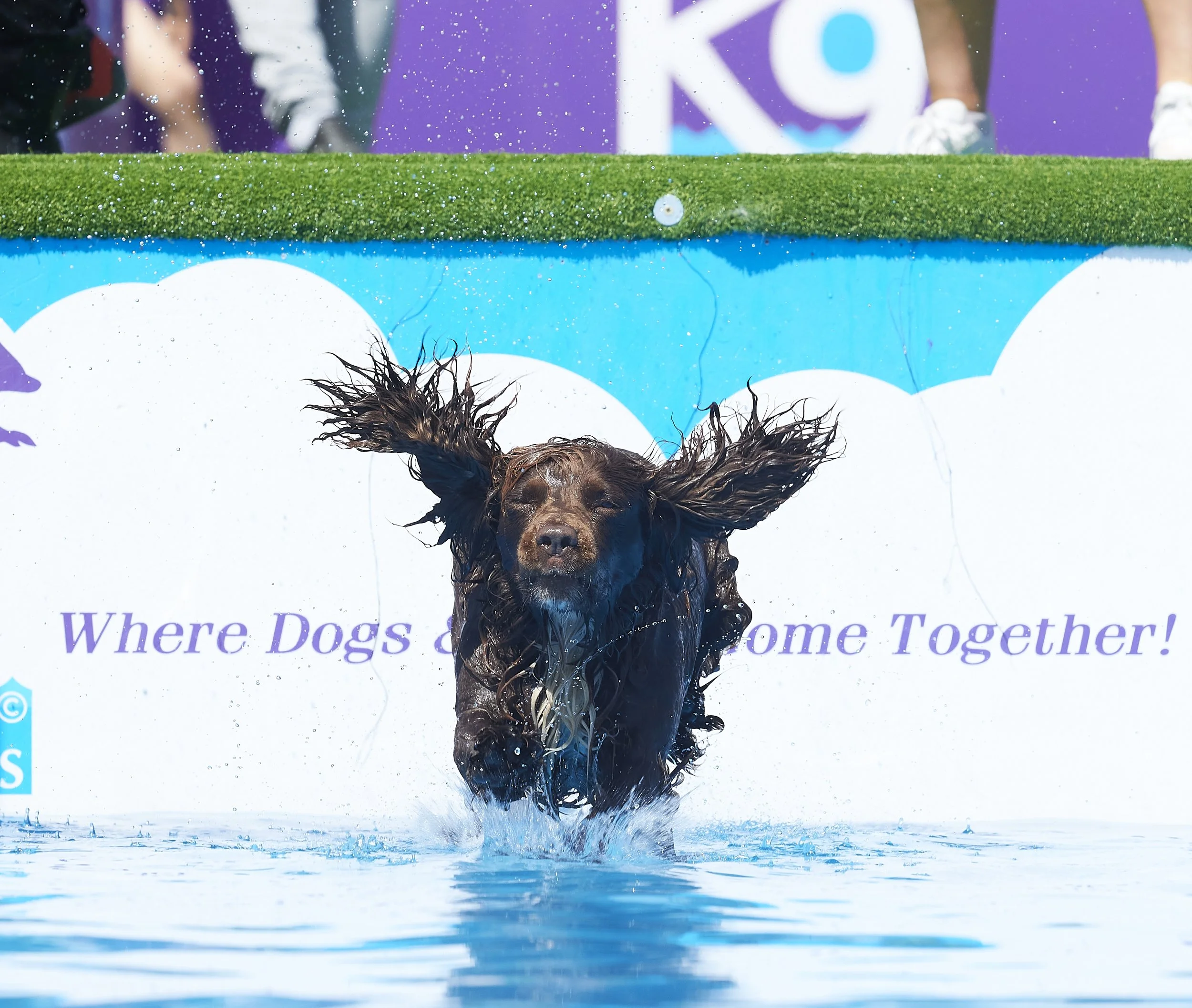 Paws in the park 14-5-2022 582 copy.jpg