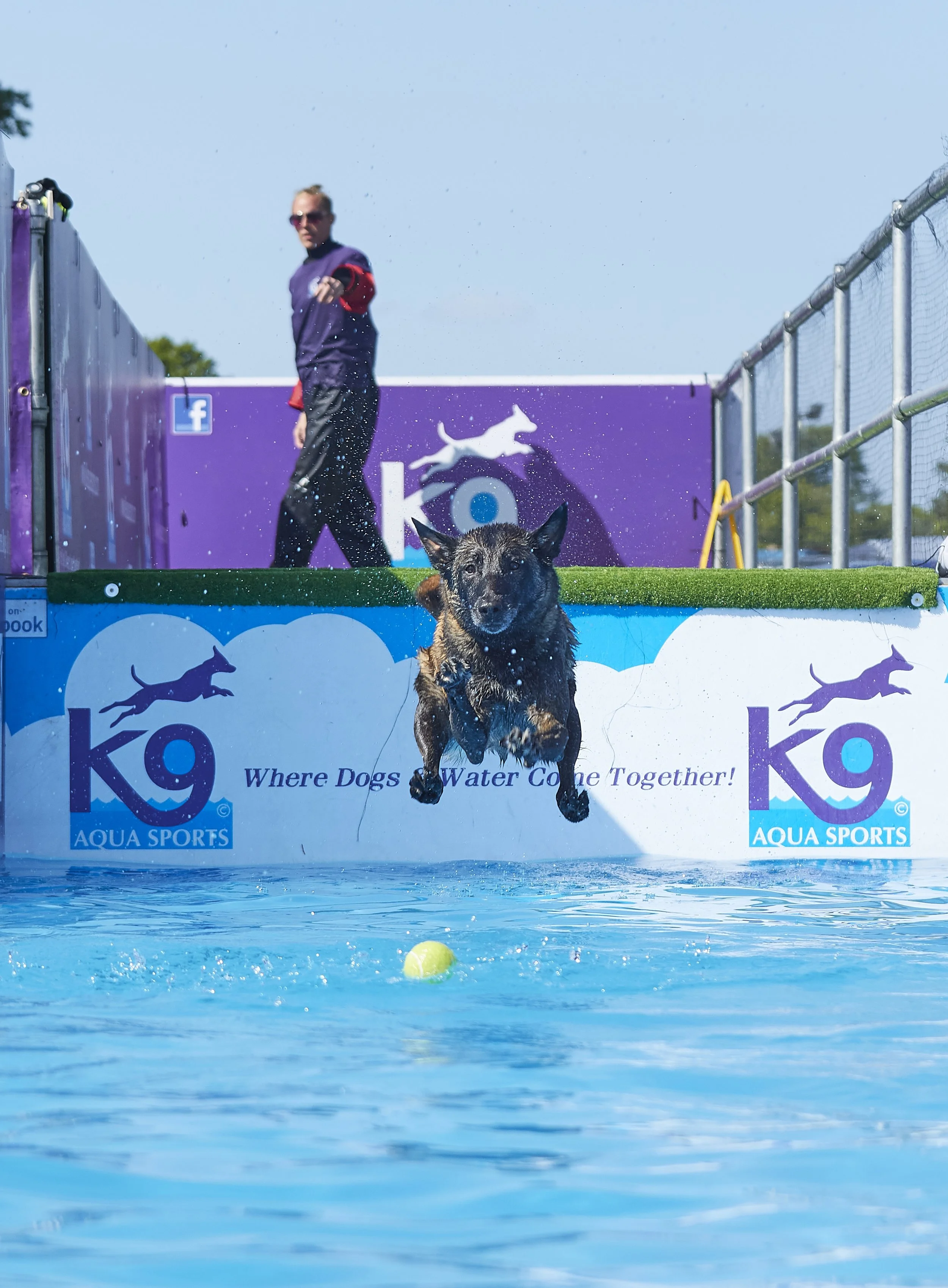 Paws in the park 14-5-2022 725 copy.jpg