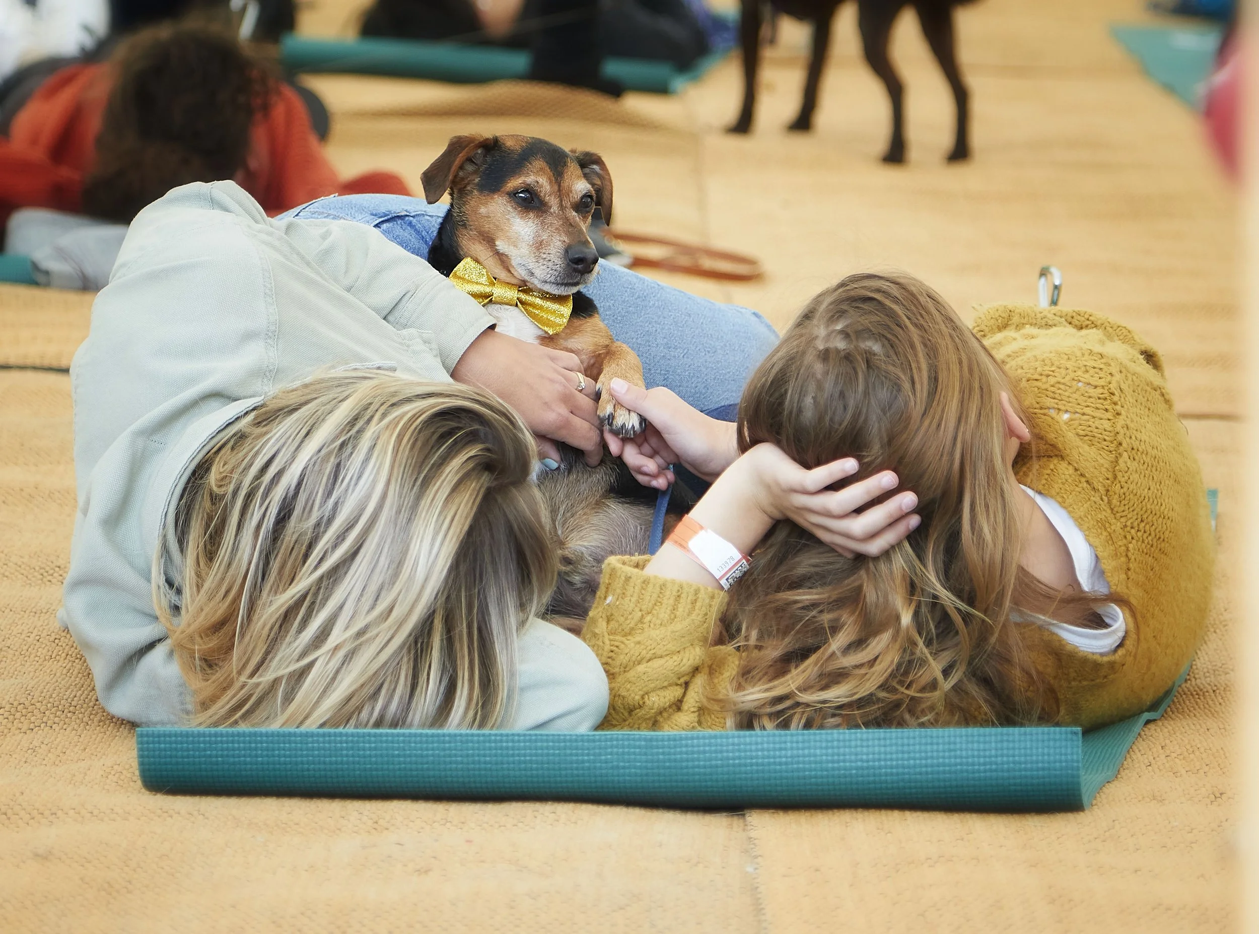 Goodwoof 159.jpg