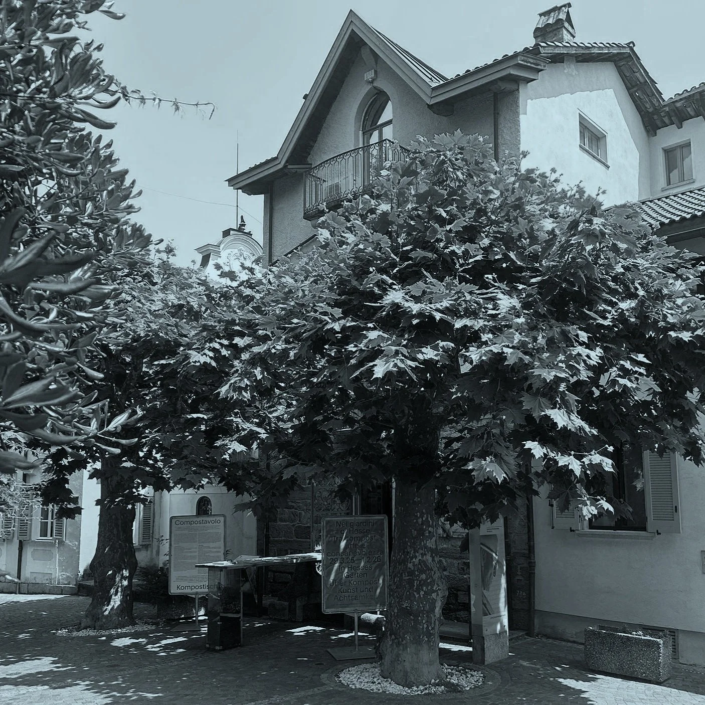 Internationaler Museumstag 2026