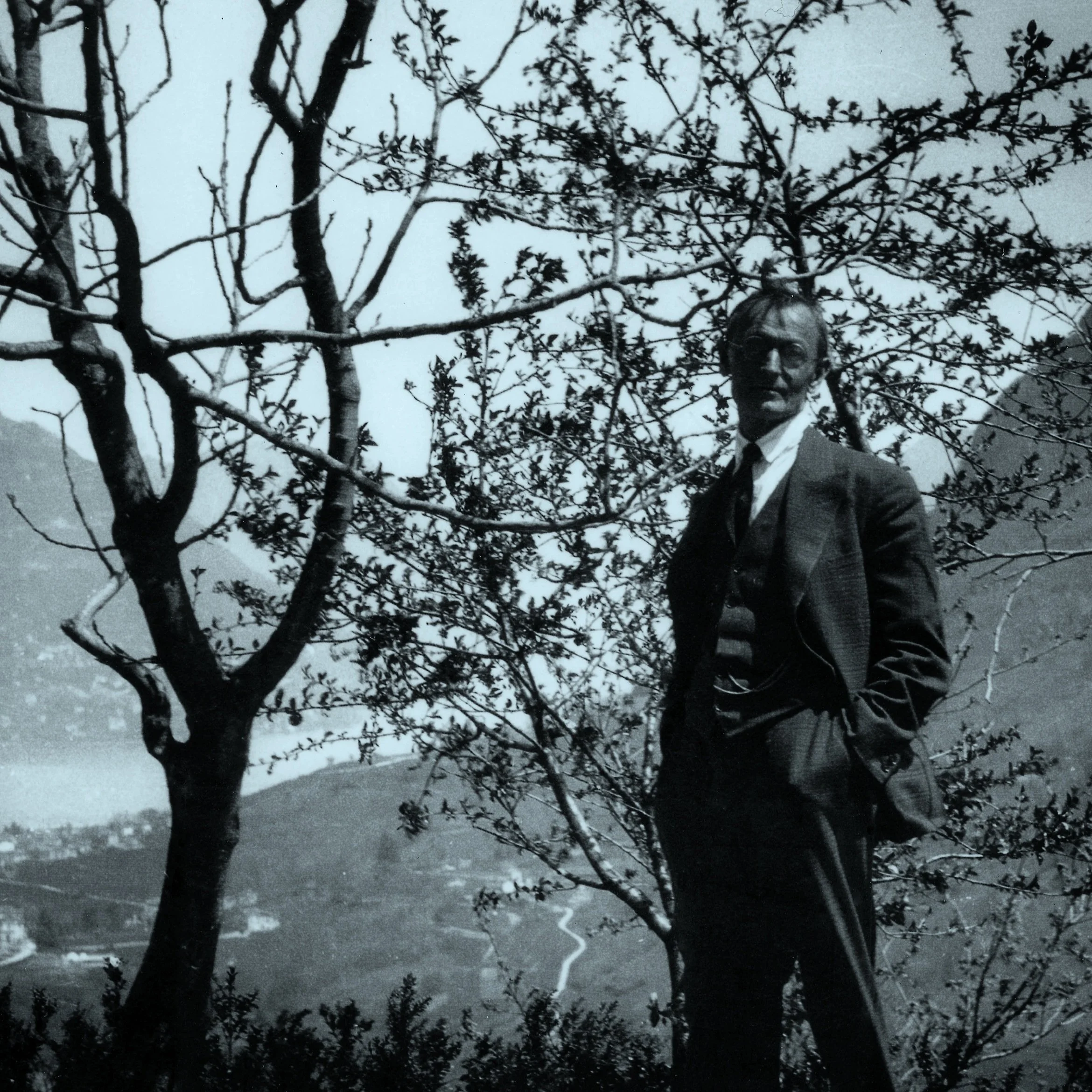 Il canto degli alberi