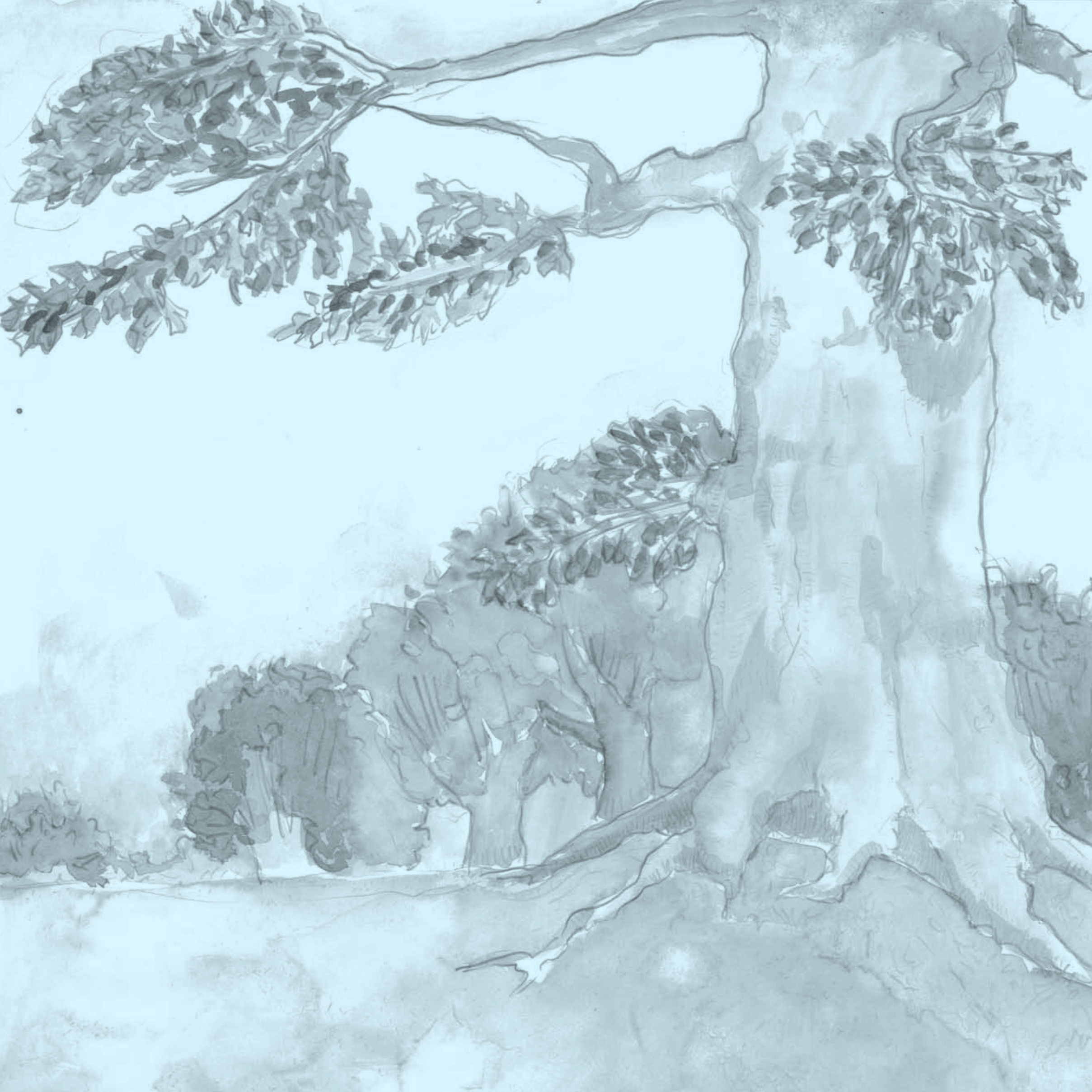 Antonia Boschetti: Manca Spazio (Hesse Artist in Residence)