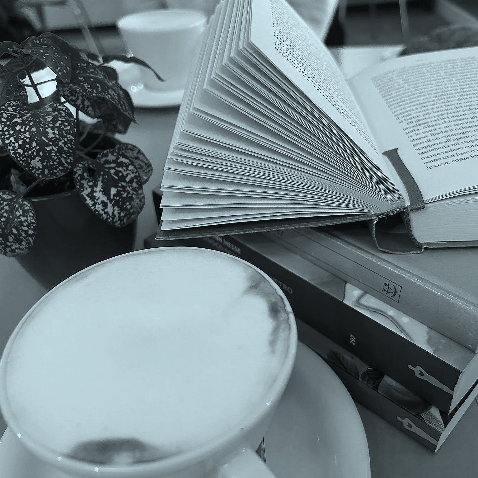 Silent Reading – Winter Edition