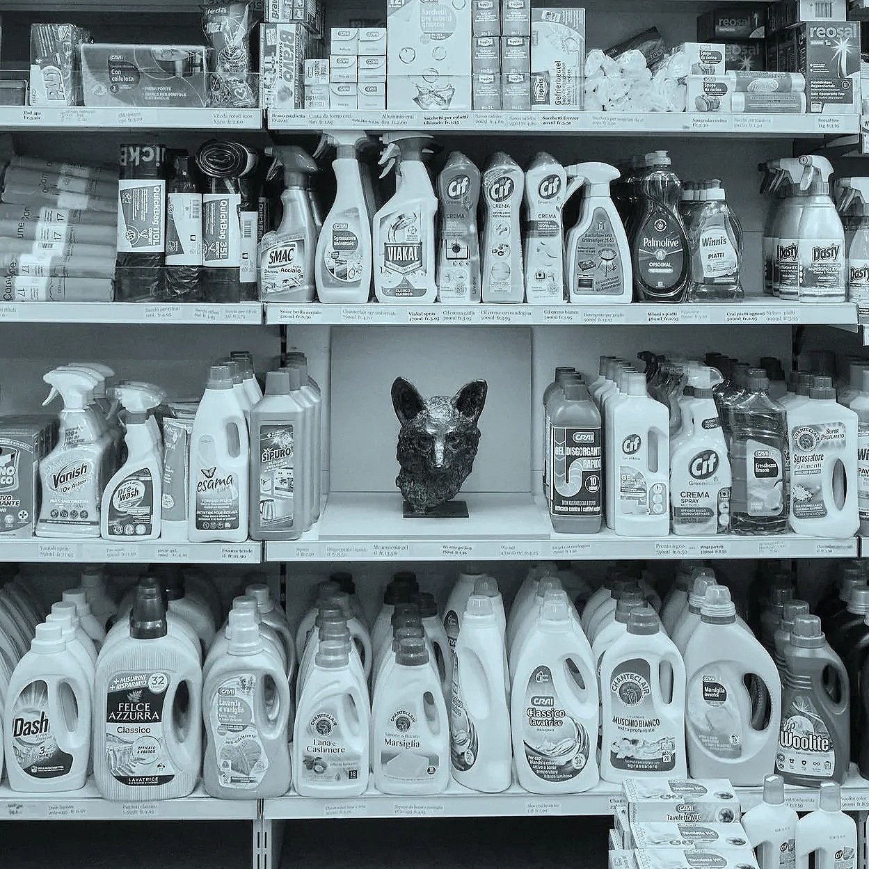 Antonia Boschetti: Manca Spazio! (Hesse Artist in Residence)