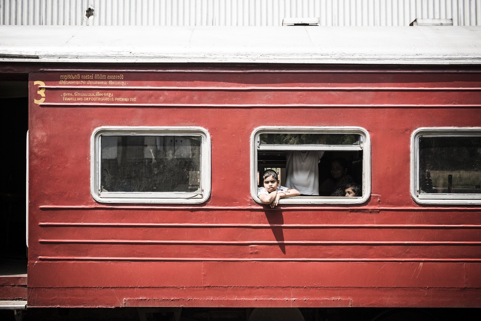 Webseite &amp; Hühnerfarm