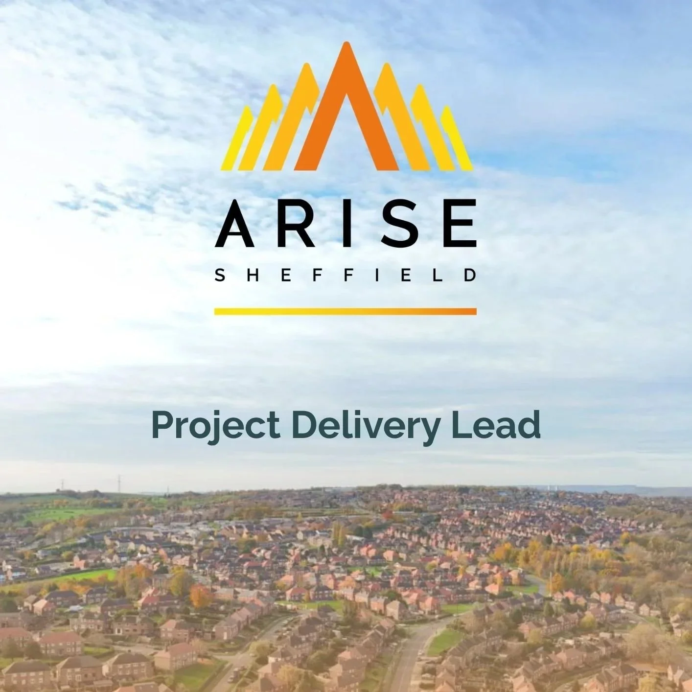 NEW: Project Delivery Lead