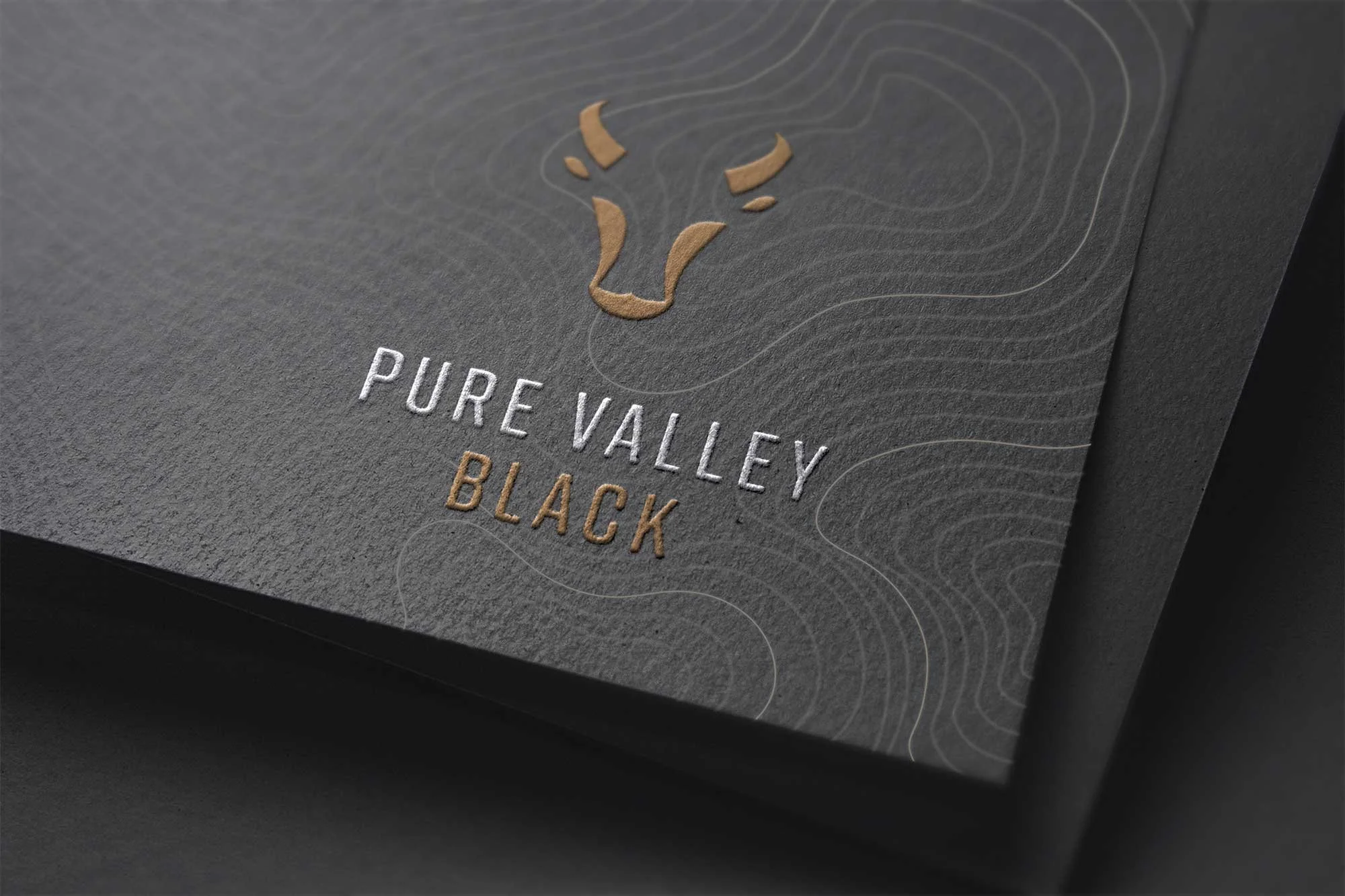 mjgt_pvb_logo_card_02.jpg