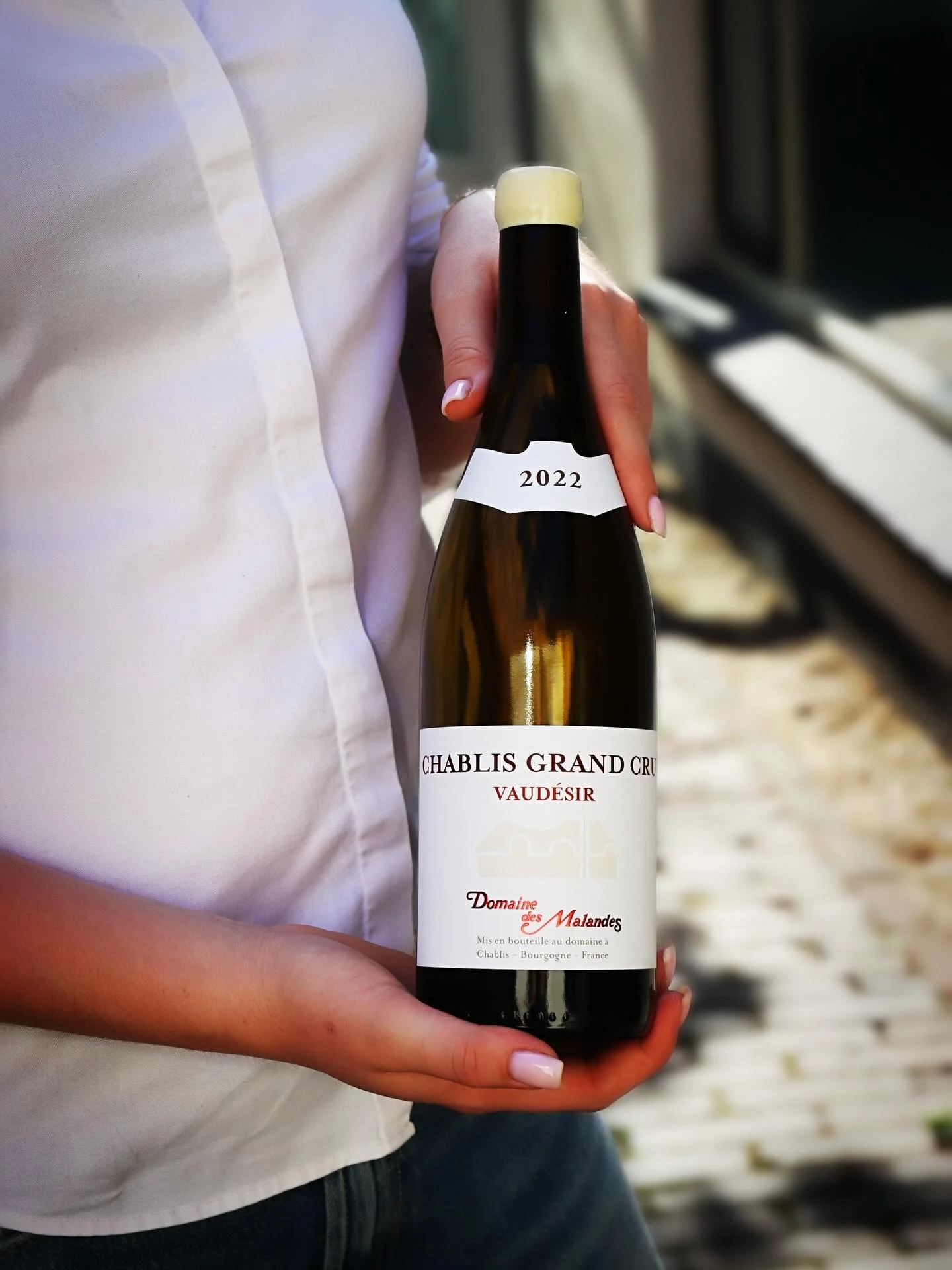 Ook voor de absolute fijnproevers biedt de wijnkaart van Groenewoud veel mogelijkheden! 💚
Een verfijnde begeleider van visgerechten of oesters is deze Chablis Grand Cru van Domaine des Malandes, afkomstig van de Grand Cru wijngaard Vaudésir.