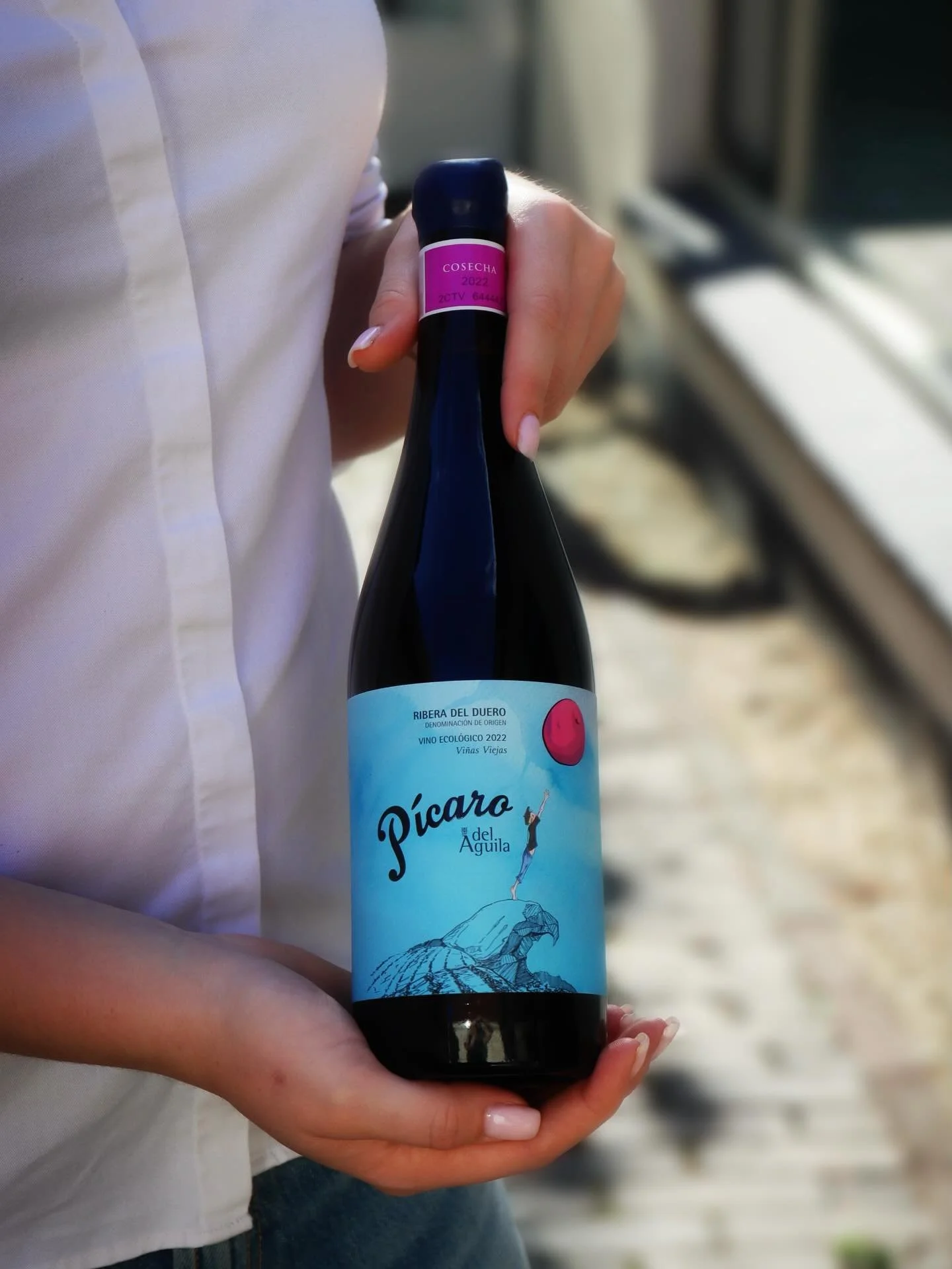 Ook de liefhebbers van een vol glas rode wijn kunnen bij ons genieten! Bijvoorbeeld van deze prachtige Picaro uit Ribera del Duero. Een gebied waar de tempranillo druif zich van zijn beste kant laat zien: aroma’s van vanille, zwart fruit, spece