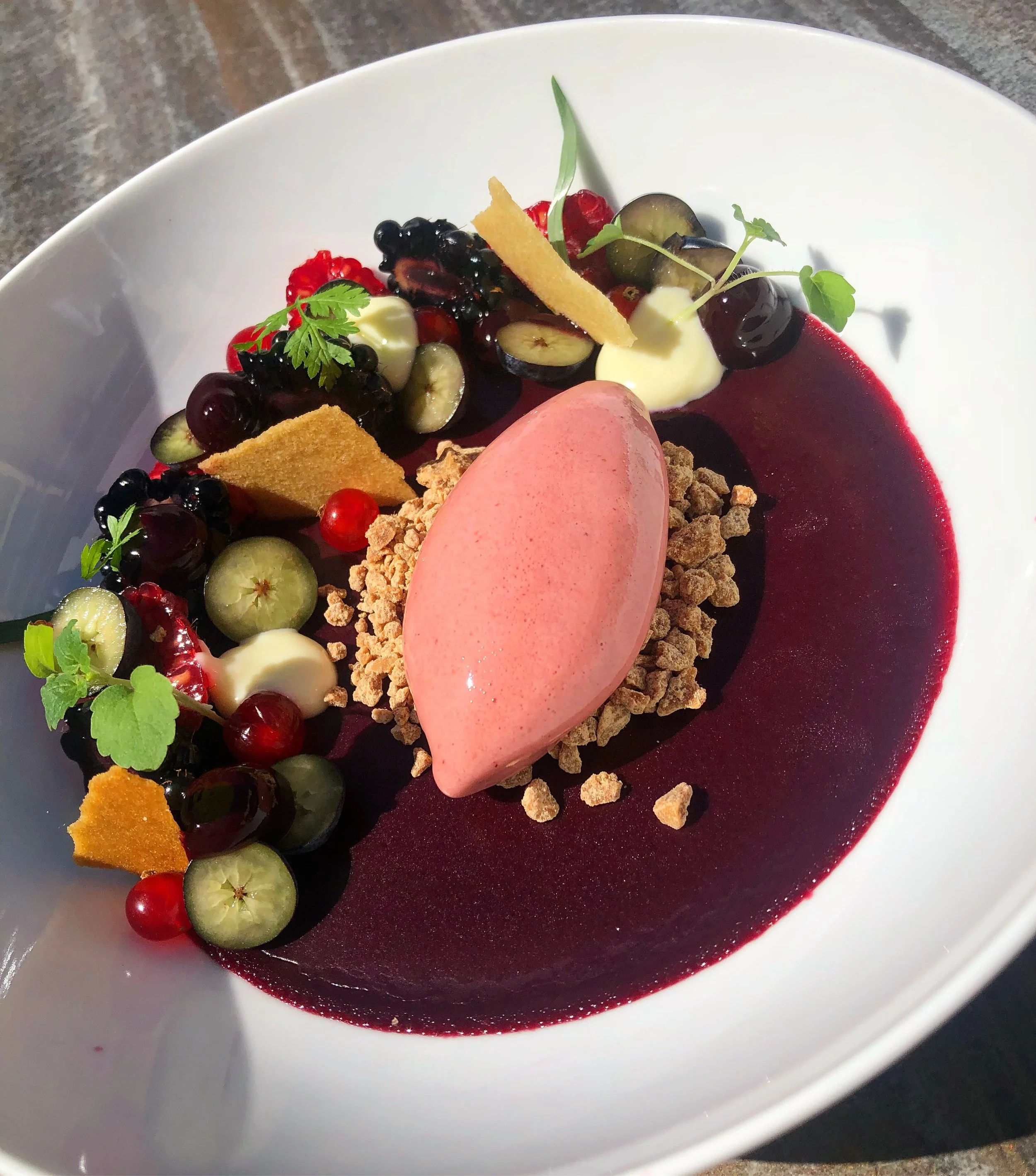 Gepresenteerd dessert met rood saus, ijs, bessen, groene kruid, koek, crumble en plantje in wit kom op grijze ondergrond.