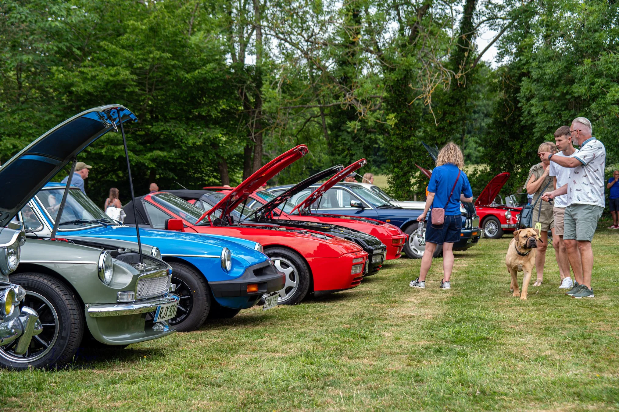 Kenward-Motor-Show-2026-Photo9-Ian-Fryer.jpg