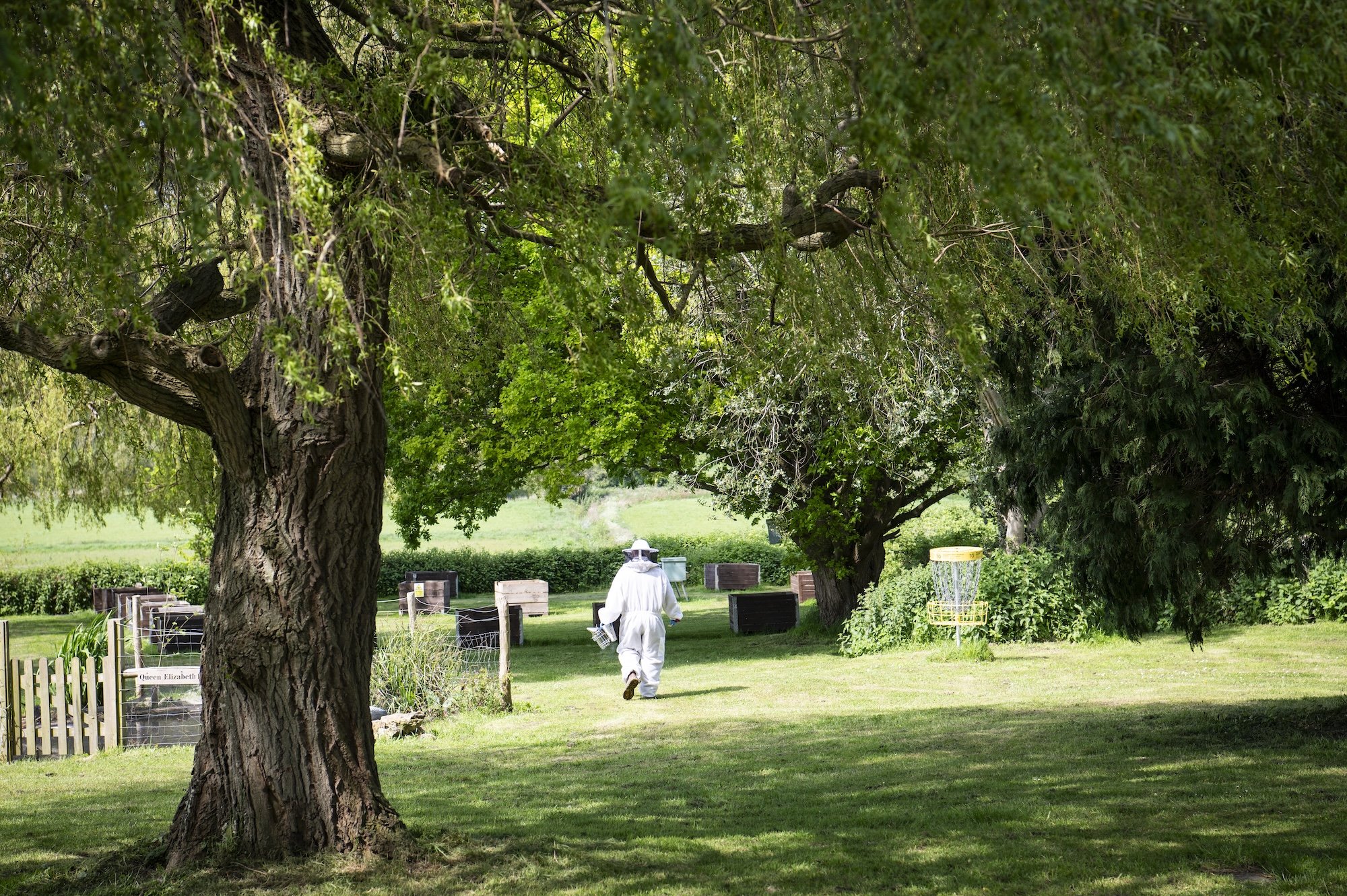 Photo of the gardens at Kenward House addiction recovery rehab centre in Kent