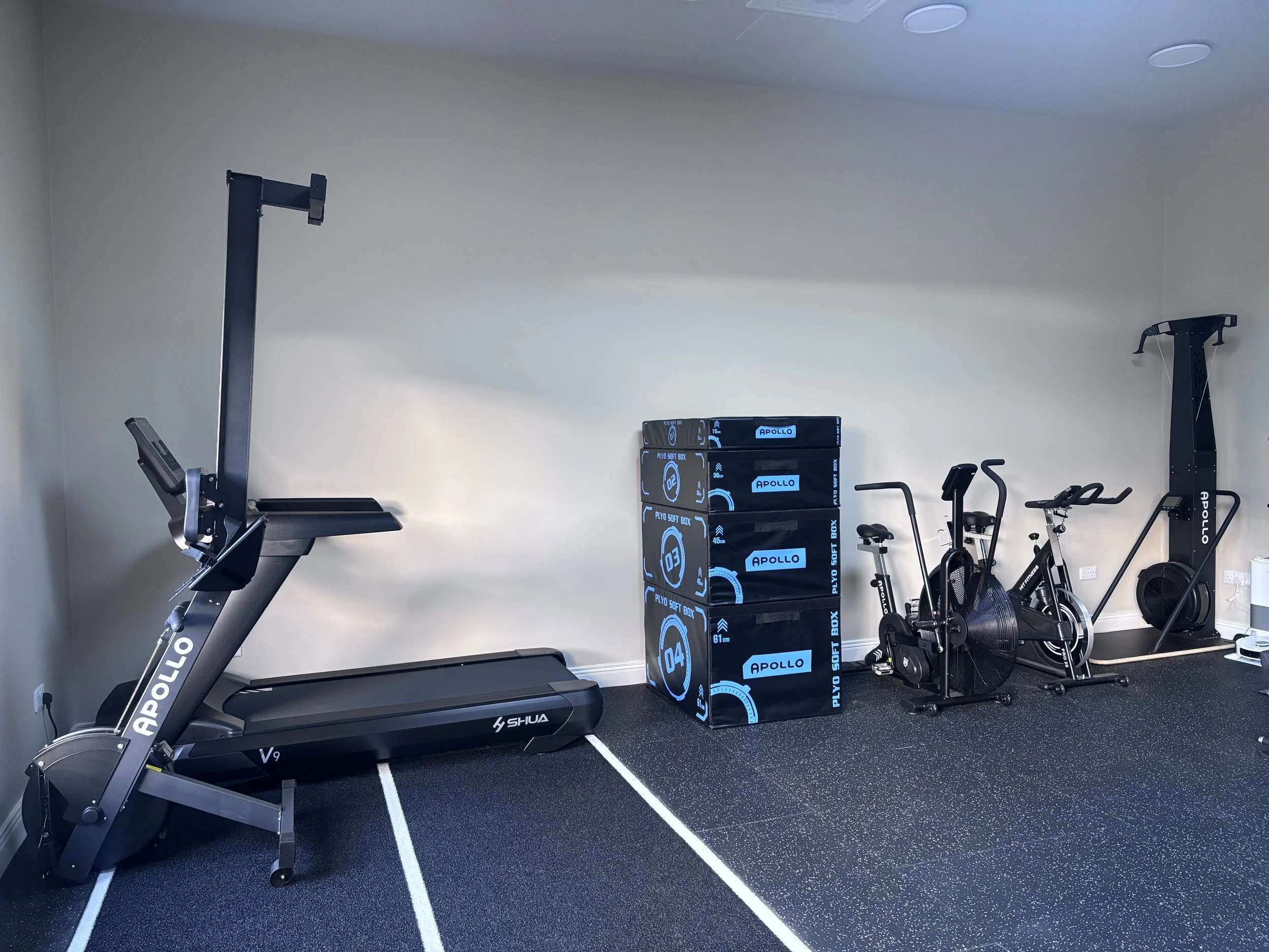 Rehab Gym - Cardio Section