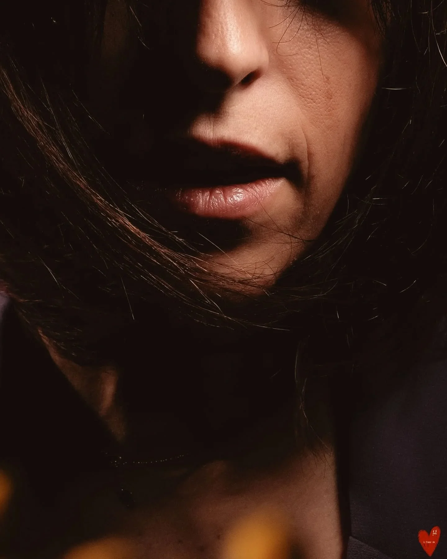 Se lib&eacute;rer pour exprimer
Ou exprimer pour se lib&eacute;rer...

La photo, comme un moyen d'expression

(Merci &agrave; @audreydby.photographe d'avoir laiss&eacute; ce mimosa au studio apr&egrave;s le Workshop.
Cette fleur, c'est celle que mon 