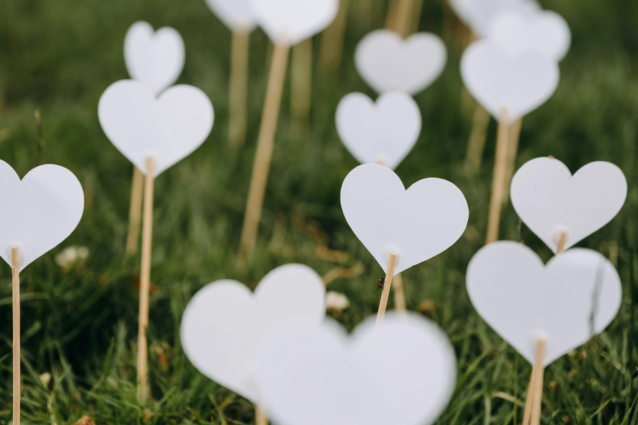 mariage-domaine-de-la-poignardiere@gaelle-care (23 sur 92).jpg