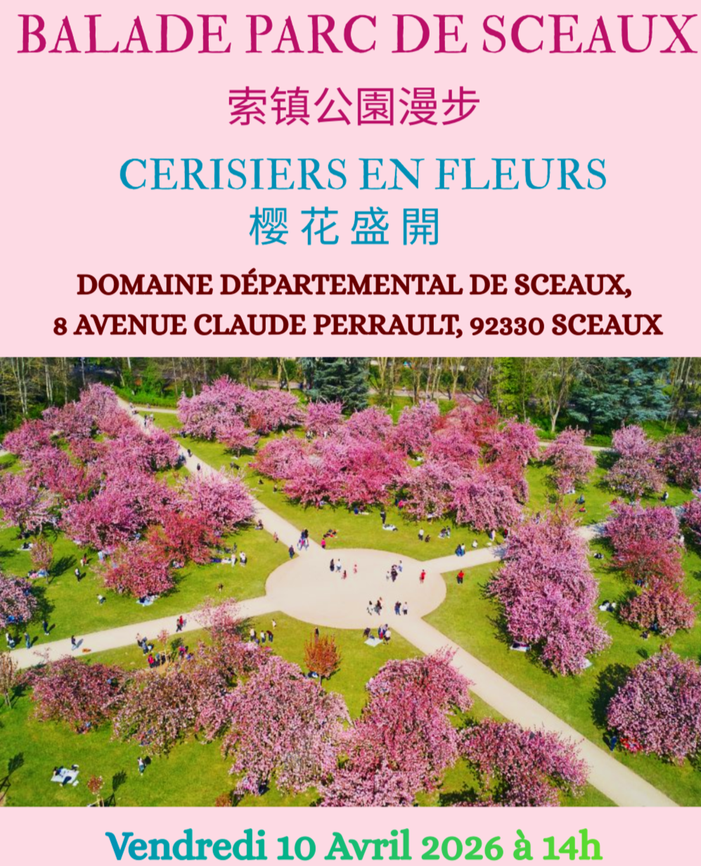 Balade Parc de Sceaux (索镇公園漫步) - Cerisiers en Fleurs (樱 花 盛 開)