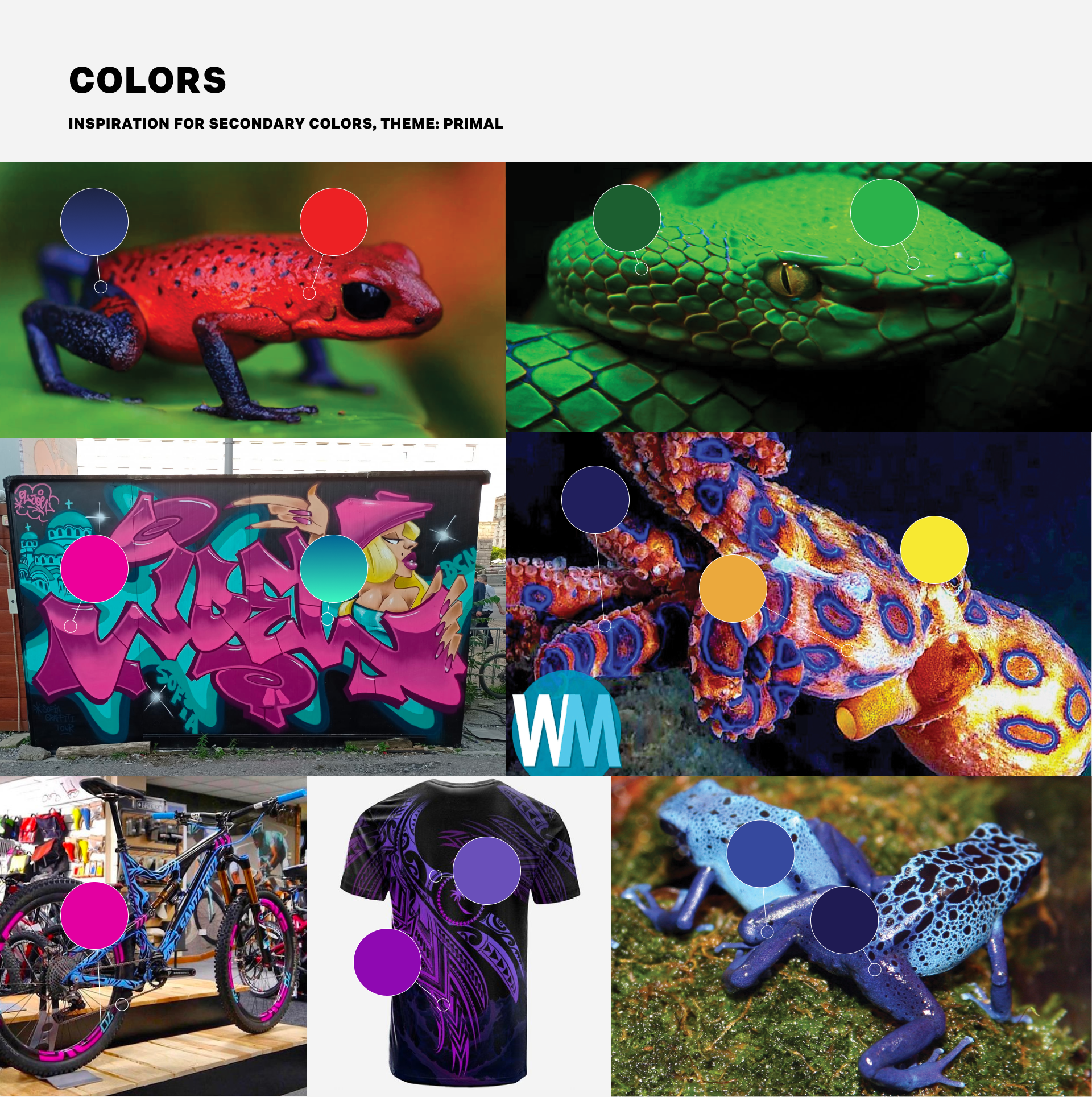 Examples of the Lion Heart (Лъвско сърце) color palette inspiration - a red and blue frog, a bright green snake, a turqoise and pink graffiti wall, an orange, and purple octopus, and others.