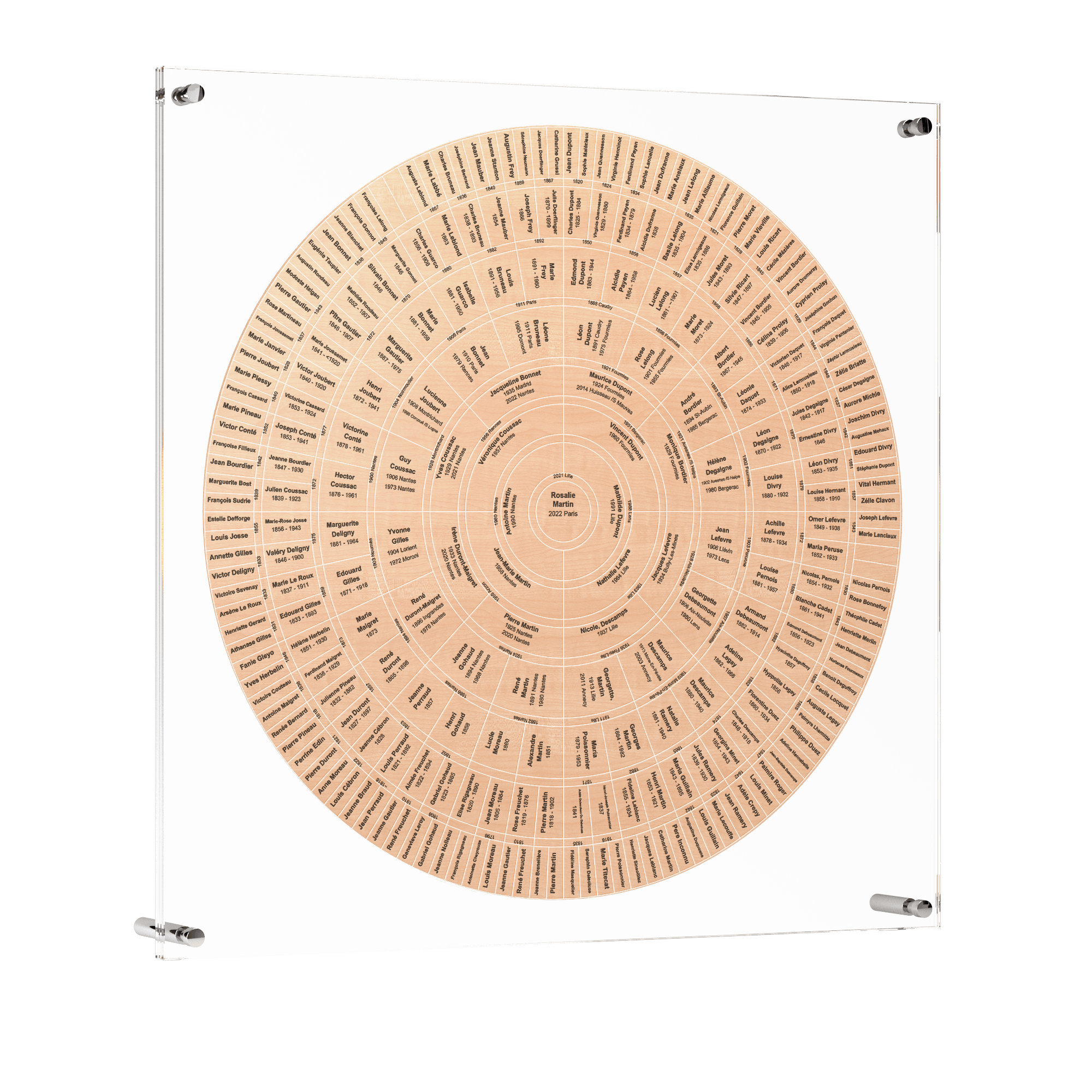 fan-360-mapple-simple_transparent-bg_2000x2000_optimized.png