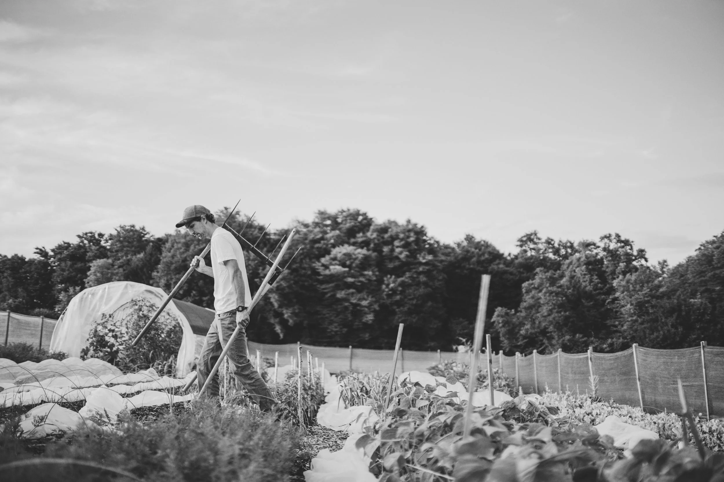 Začnimo o hrani razmišljati drugače