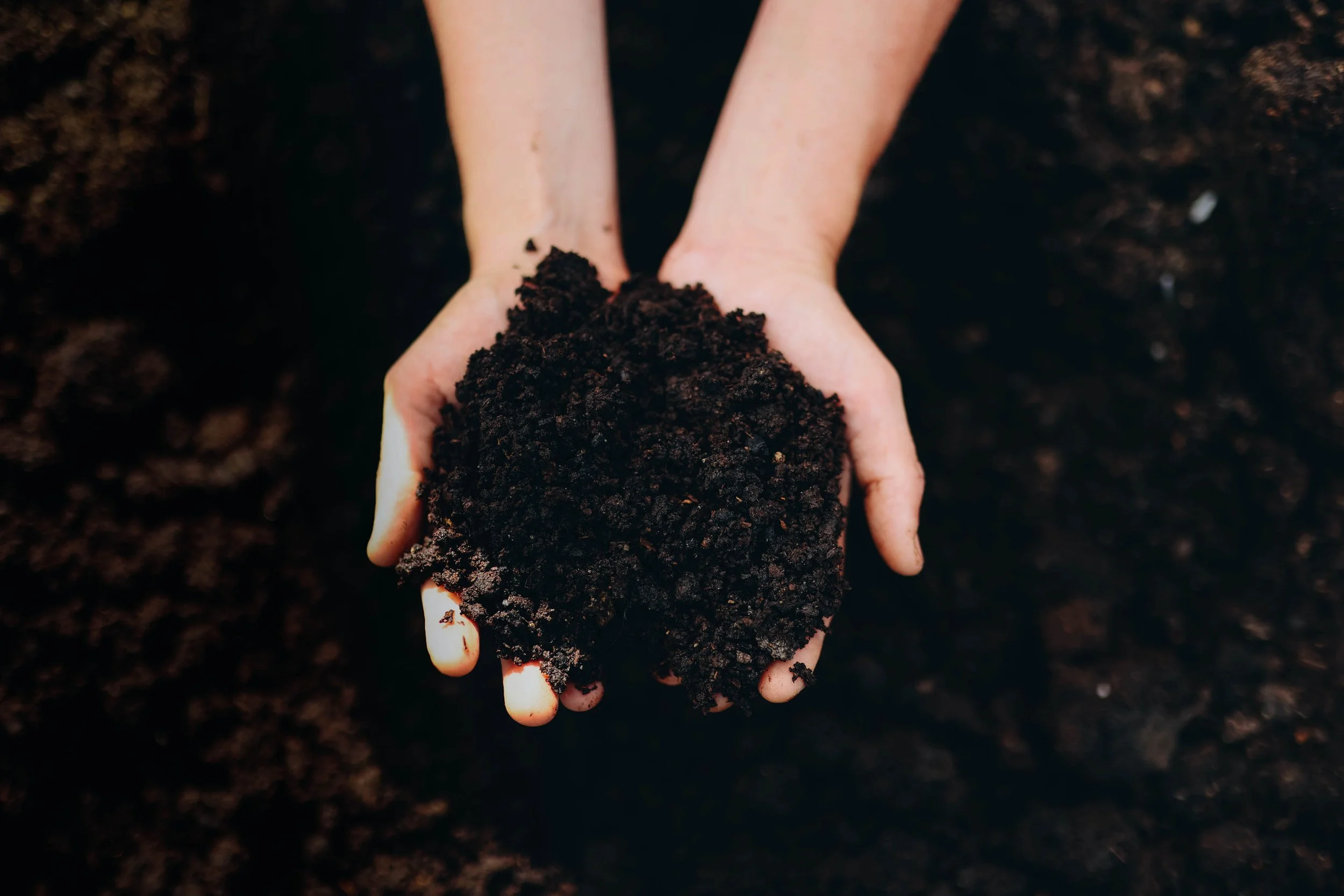 REGENERATIVNO KMETIJSTVO