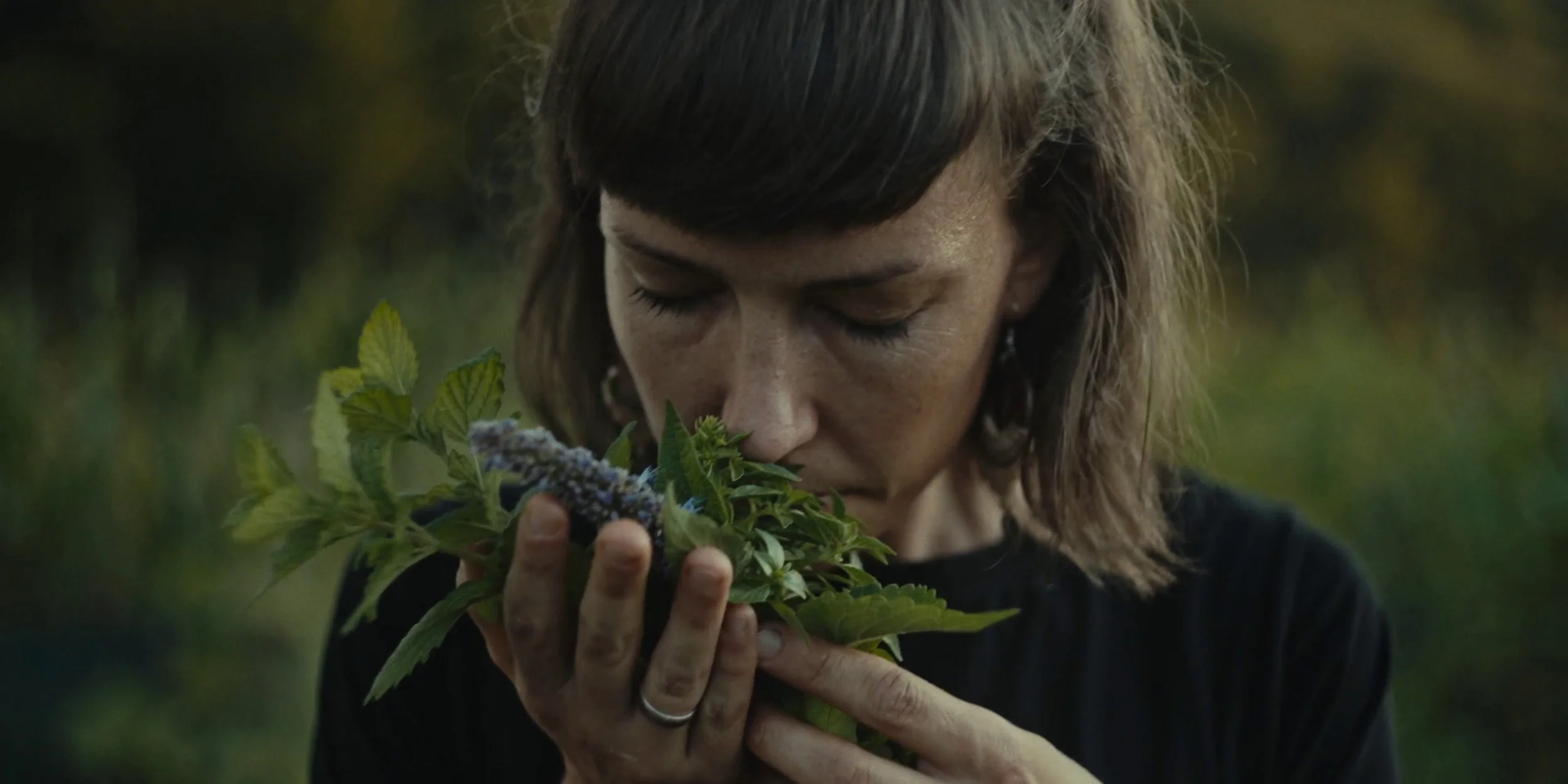 ZGODBA KMETIJE MONERA