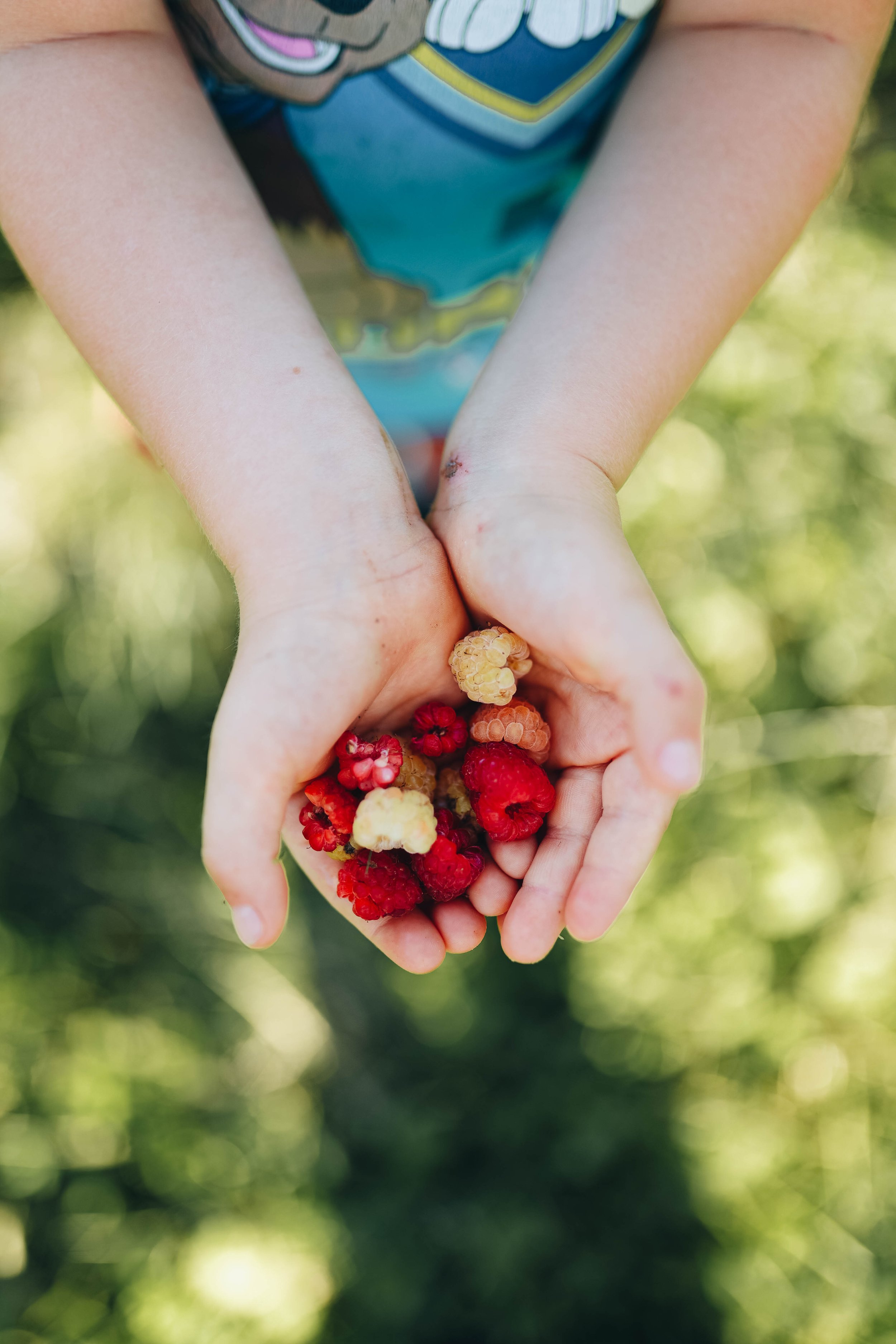 Kmetija Monera 2025 (1583).jpg