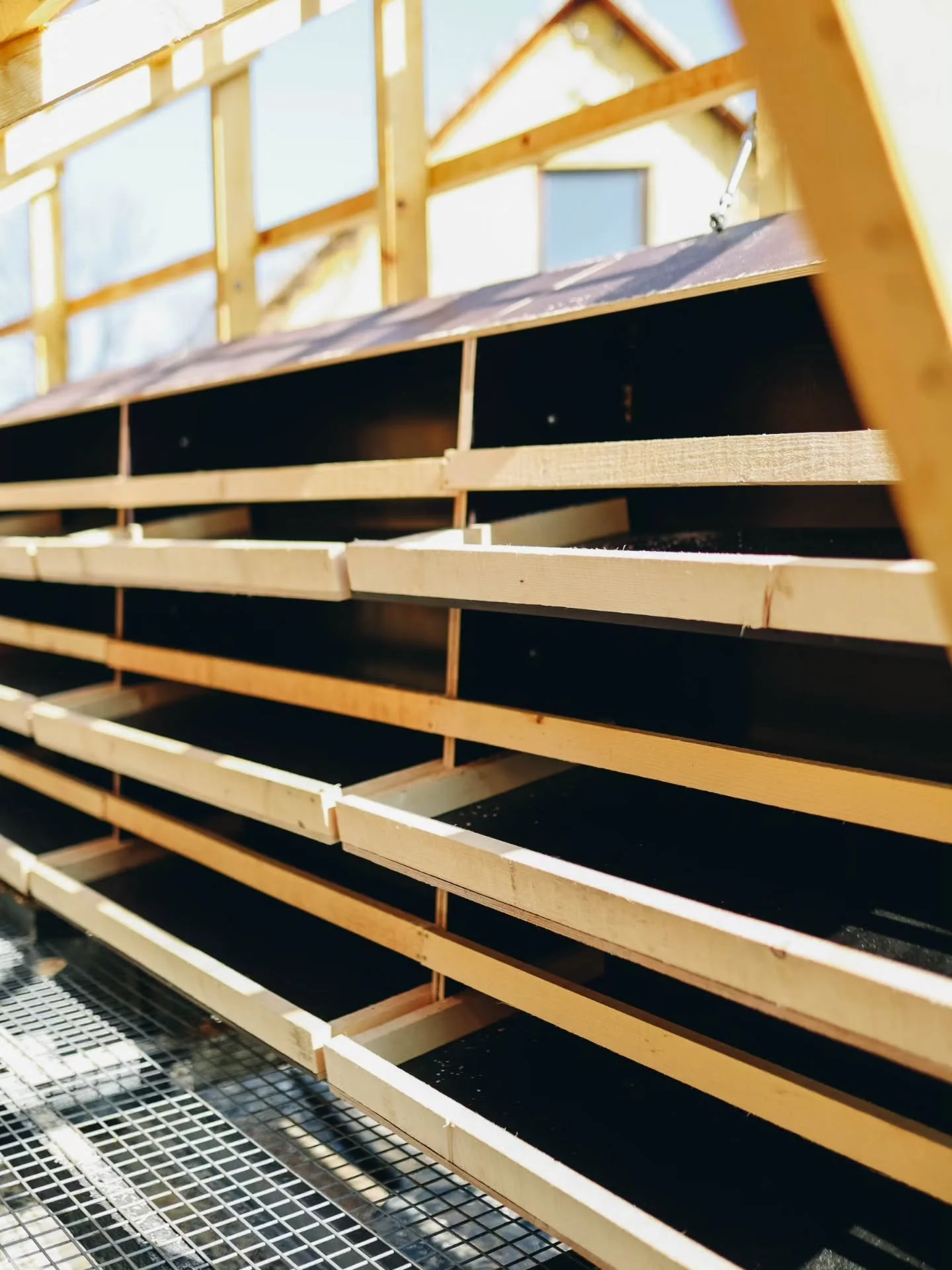 Gradnja koko&scaron;njaka se nadaljuje💪

Skoraj smo že pri koncu. Izdelali smo gnezda in preselili koko&scaron;njak na travnik, kamor bodo kmalu pri&scaron;le koko&scaron;ke. 

Gremo naprej....

Kmetija Monera

#kmetijamonera 
#pasturedeggs 
#ridged