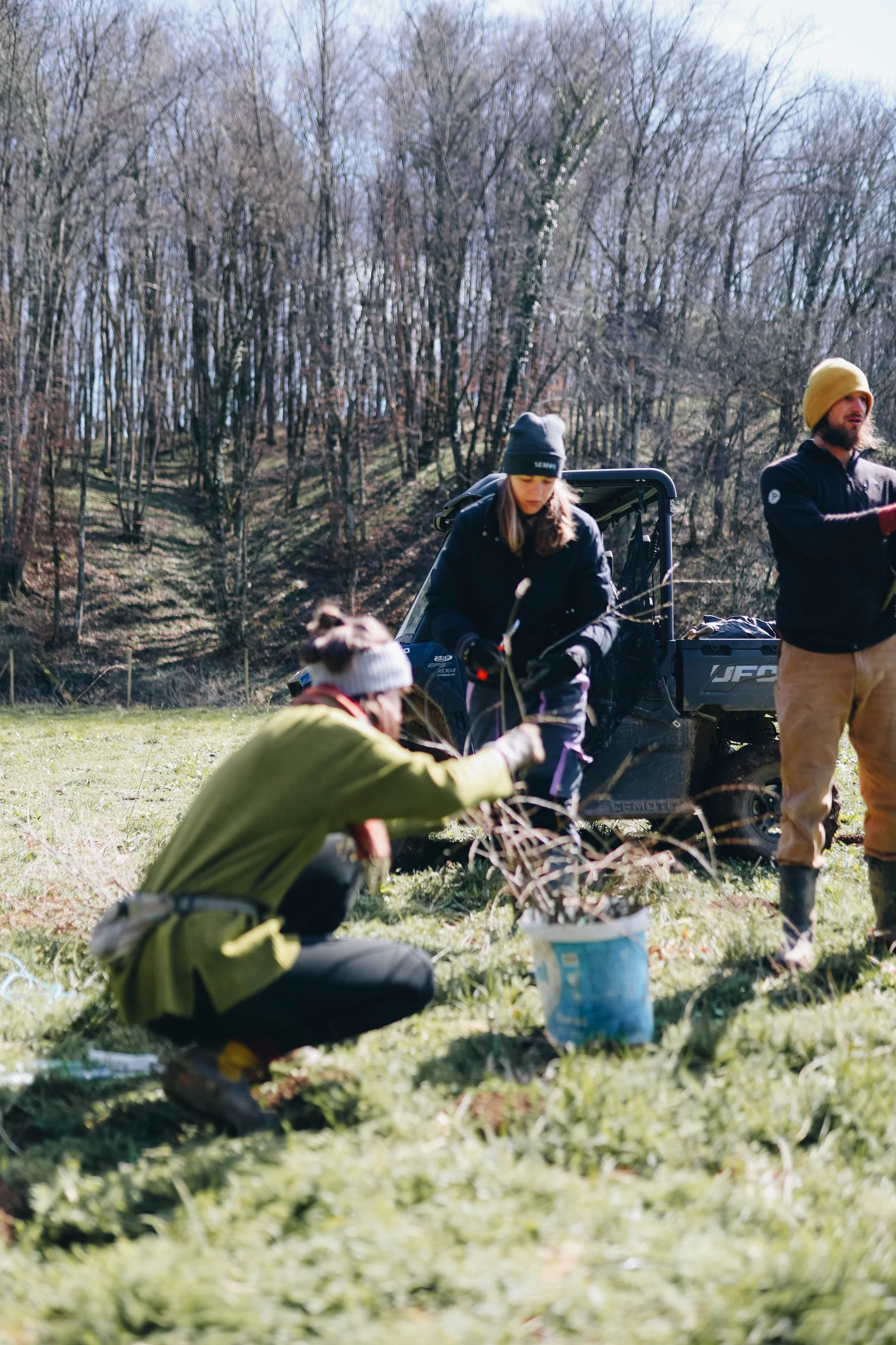 People planting a small tree in a bucket outdoors with a forest background.