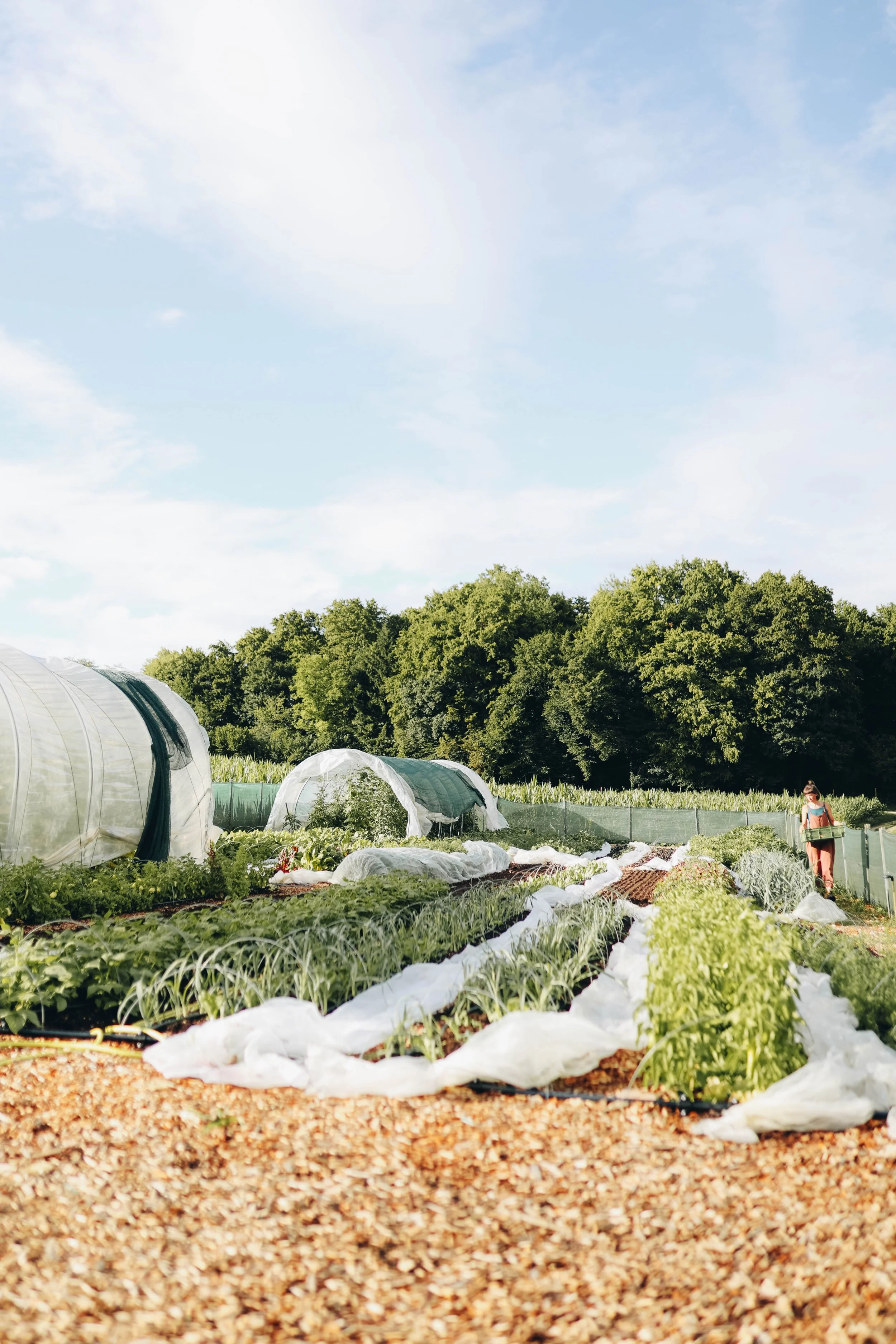 Kmetija Monera 2025 (1225).jpg