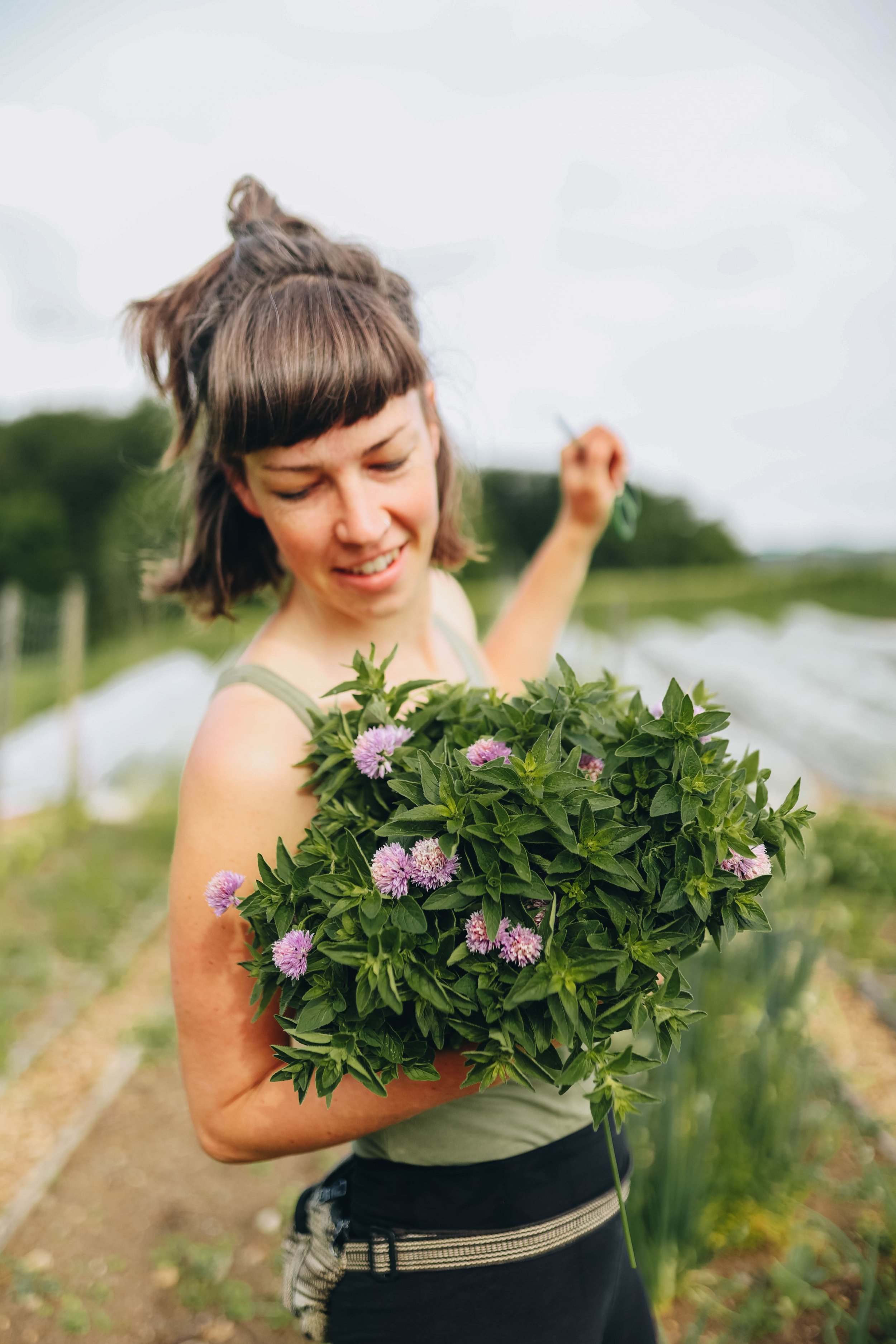 Woman holding a blooming purple flower bush in a garden or farm field.